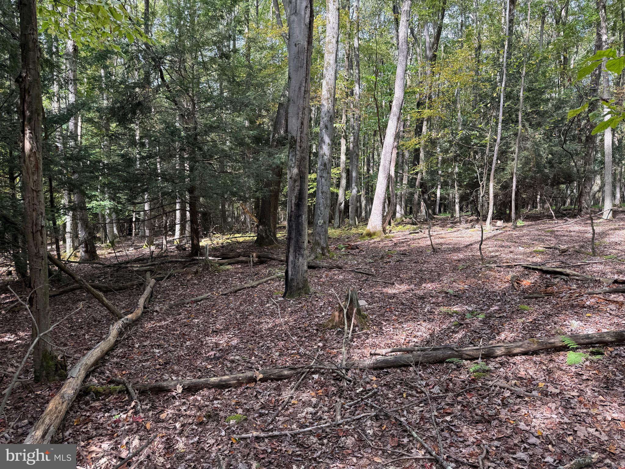 OAKLAND, MD – 3.318 UNRESTRICTED ACRES “READY TO BUILD” THAT VACATION HOME OR FULL TIME RESIDENCE. THE SUBJECT PROPERTY IS IN THE DEEP CREEK LAKE RESORT AREA. ALL AMENITIES ASSOCIATED WITH A MAJOR RESORT AREA ARE WITHIN A SHORT DRIVE OF THE SUBJECT PROPERTY.  FULLY WOODED. MATURE HARDWOOD THRU-OUT. LEVEL TOPOGRAPHY.   CLOSE PROXIMITY TO BOAT LAUNCH.