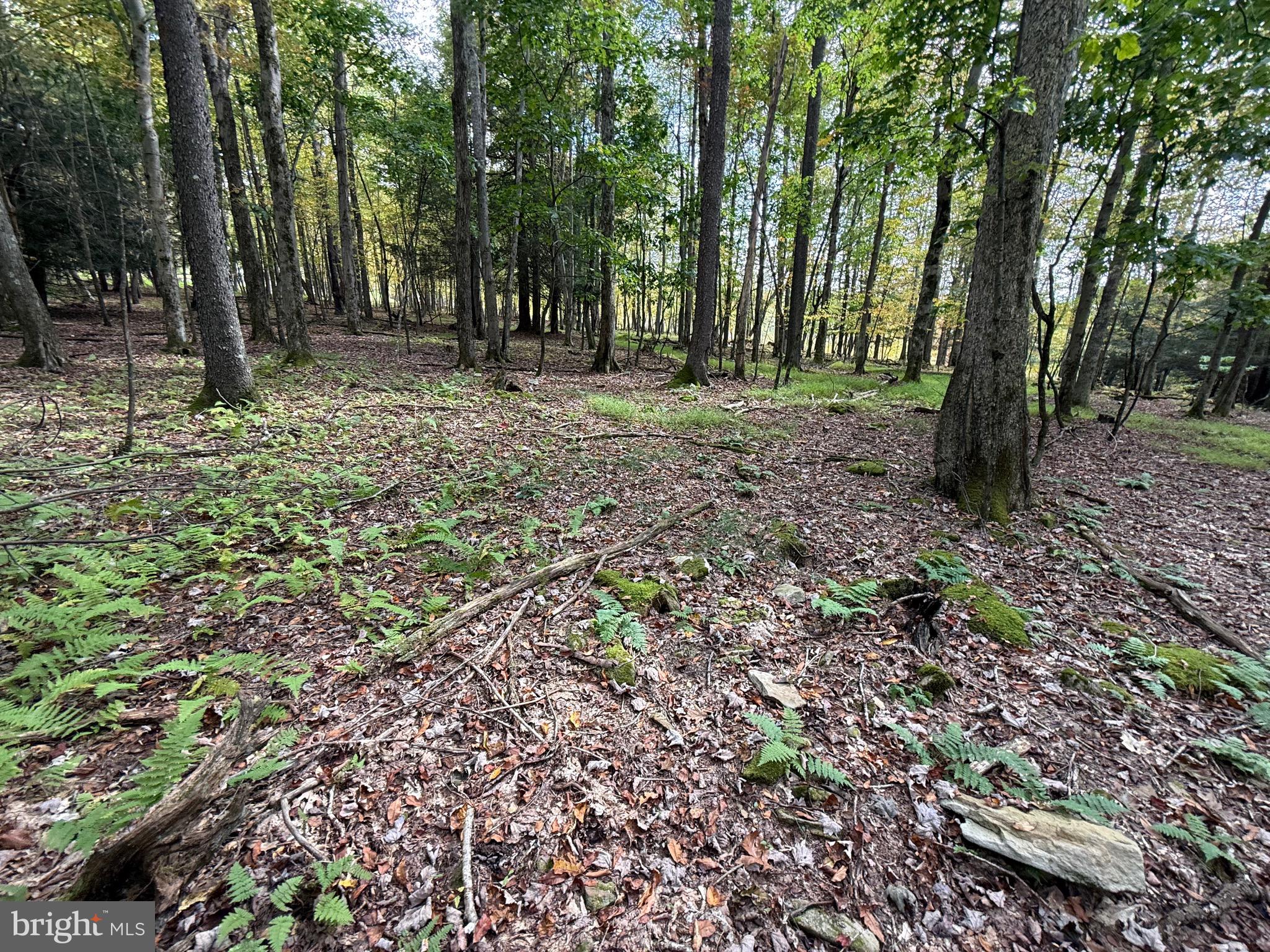 OAKLAND, MD – 3.318 UNRESTRICTED ACRES “READY TO BUILD” THAT VACATION HOME OR FULL TIME RESIDENCE. THE SUBJECT PROPERTY IS IN THE DEEP CREEK LAKE RESORT AREA. ALL AMENITIES ASSOCIATED WITH A MAJOR RESORT AREA ARE WITHIN A SHORT DRIVE OF THE SUBJECT PROPERTY.  FULLY WOODED. MATURE HARDWOOD THRU-OUT. LEVEL TOPOGRAPHY.   CLOSE PROXIMITY TO BOAT LAUNCH.
