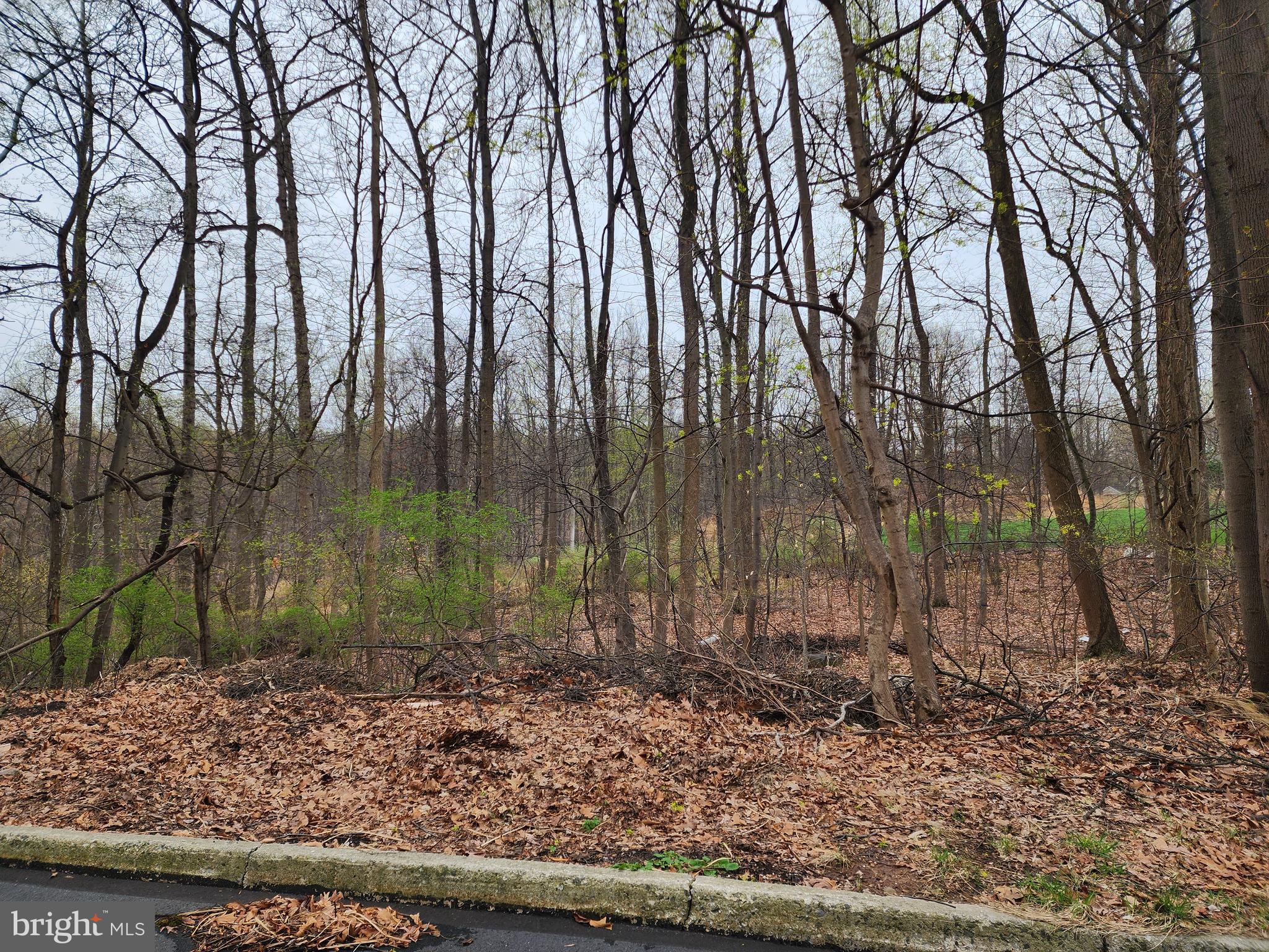 COLONIAL WOODS - Land