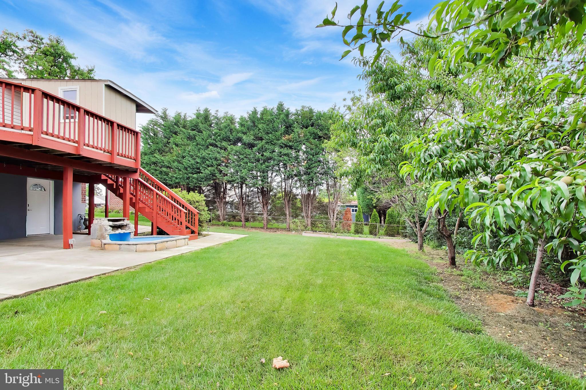SPRINGFIELD PARK - Residential