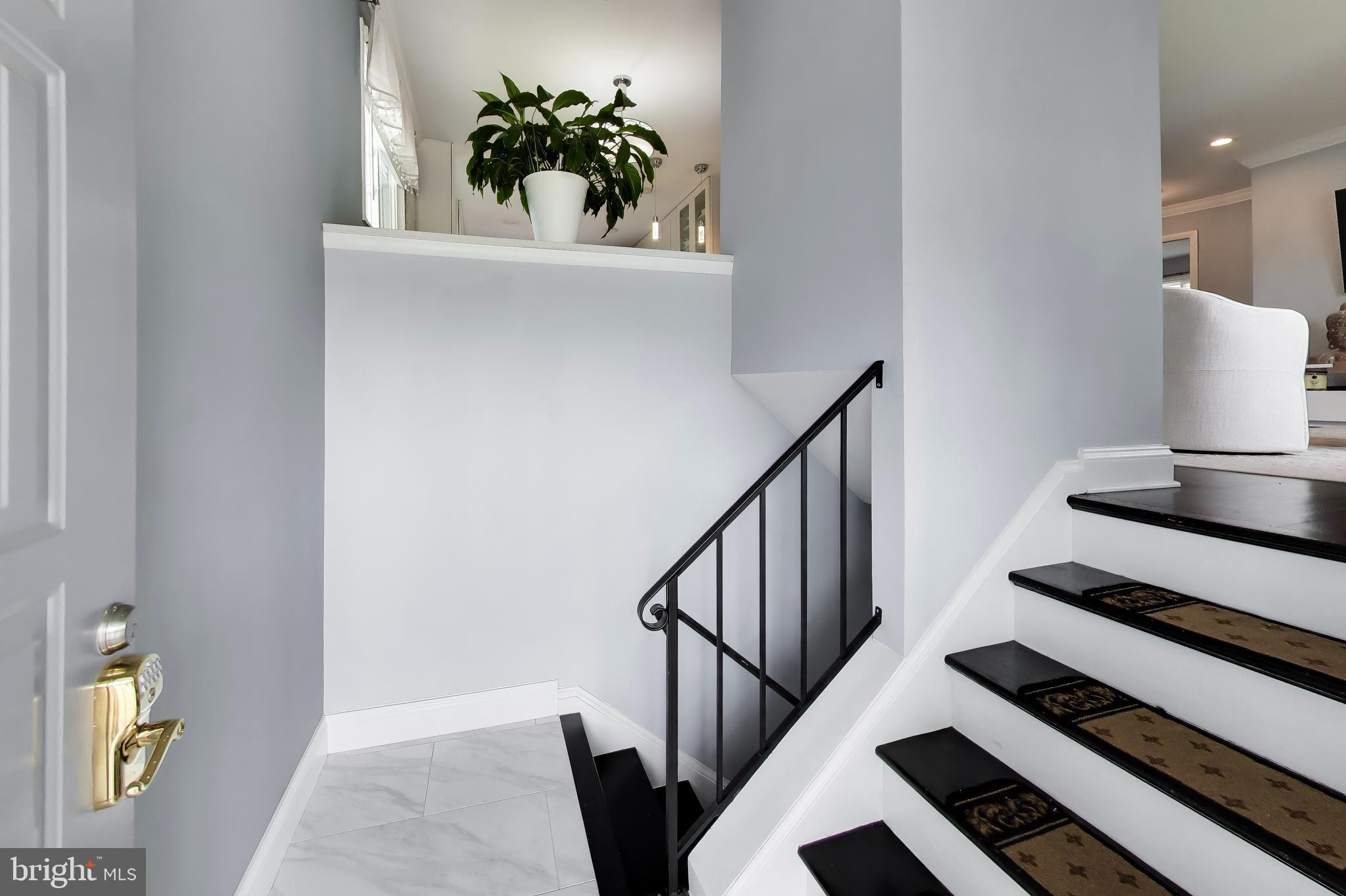SPRINGFIELD PARK - Residential