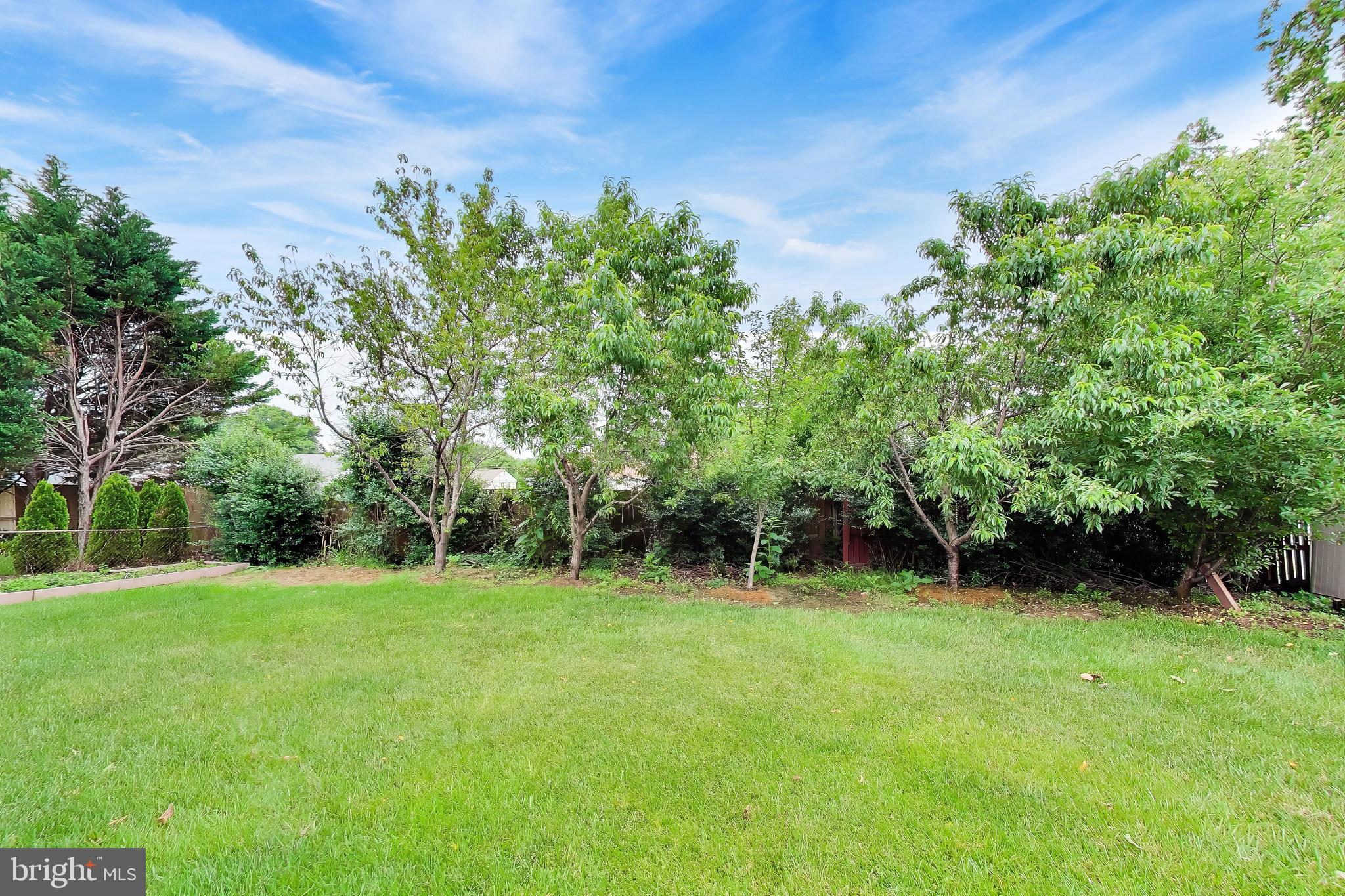 SPRINGFIELD PARK - Residential