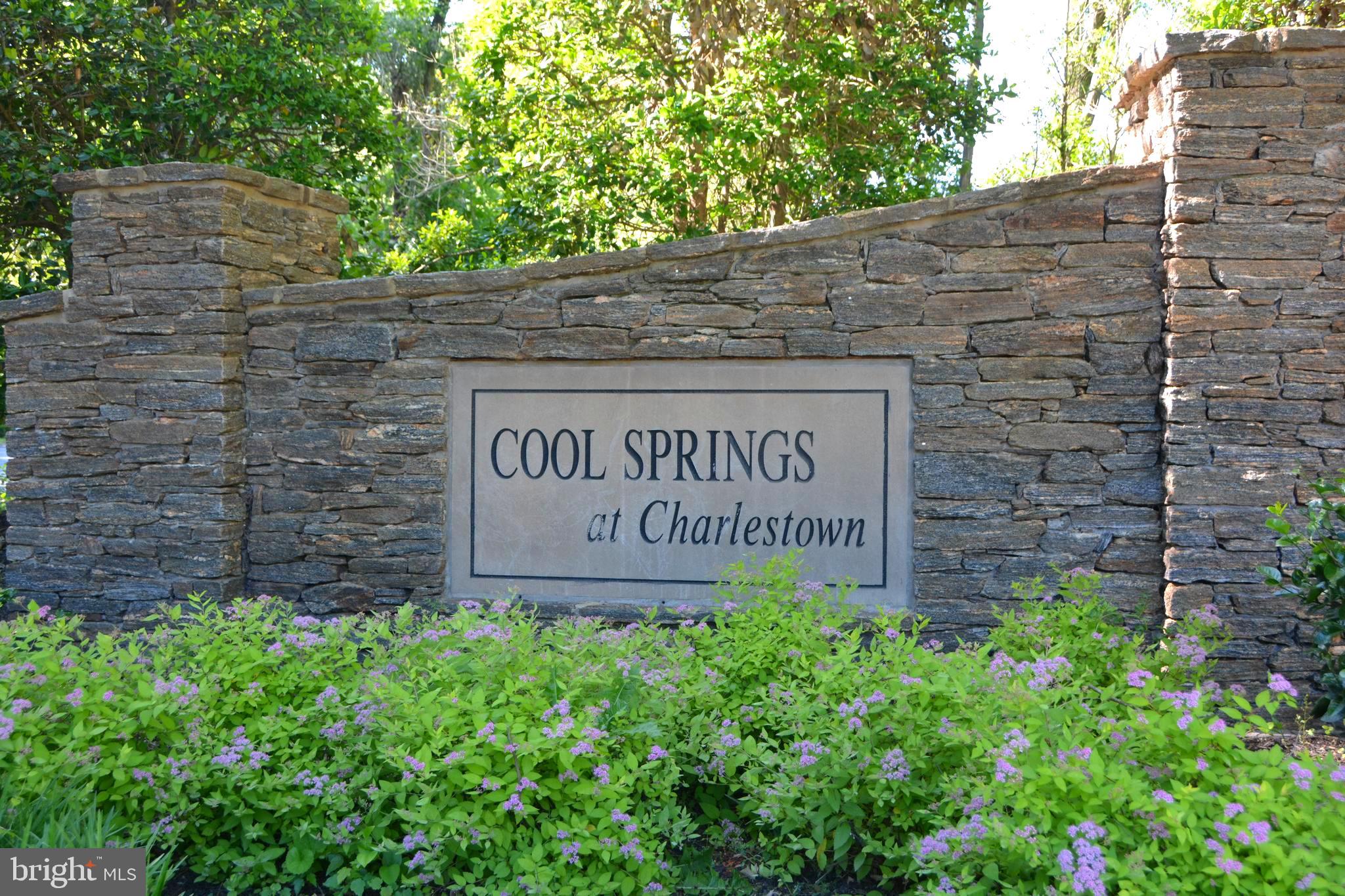COOL SPRINGS AT CHARLESTOWN - Residential