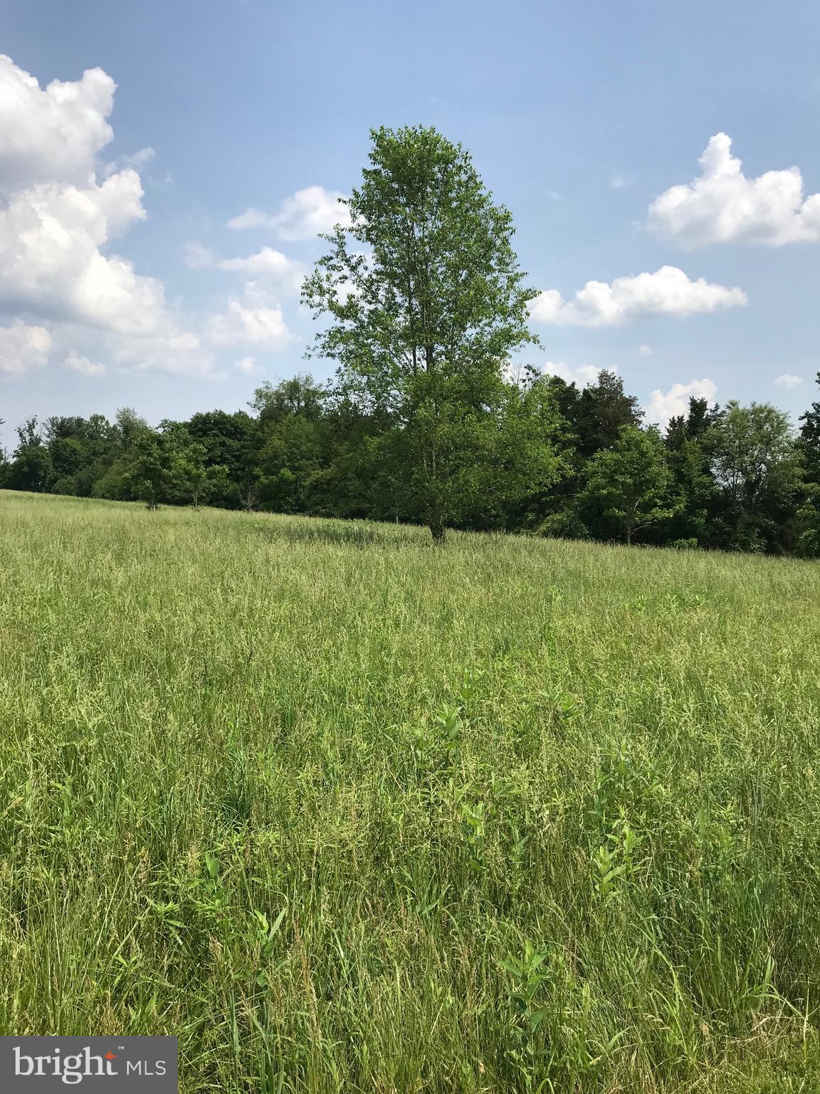 THE CHASE AT STONEY BROOK - Land