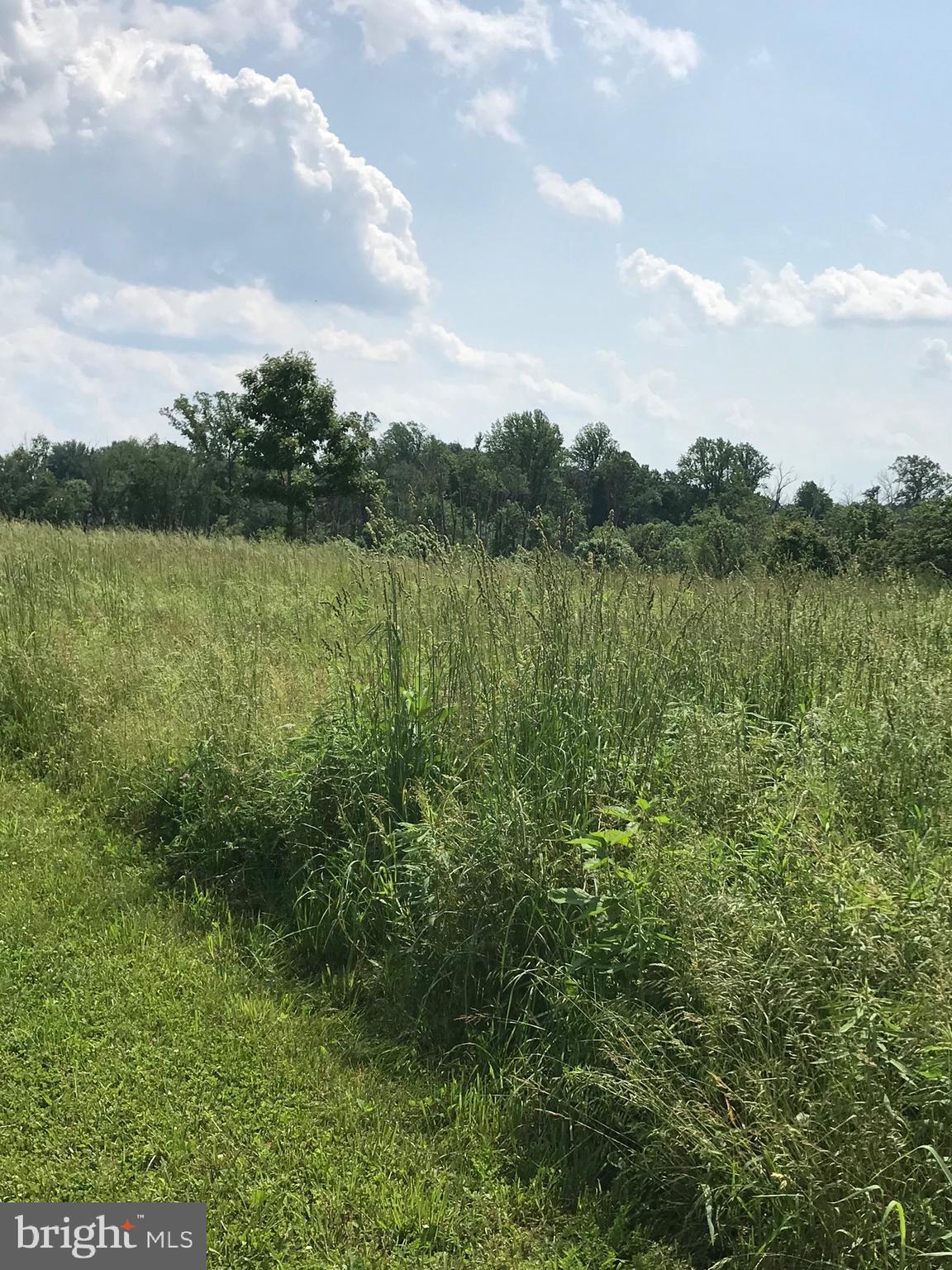 THE CHASE AT STONEY BROOK - Land