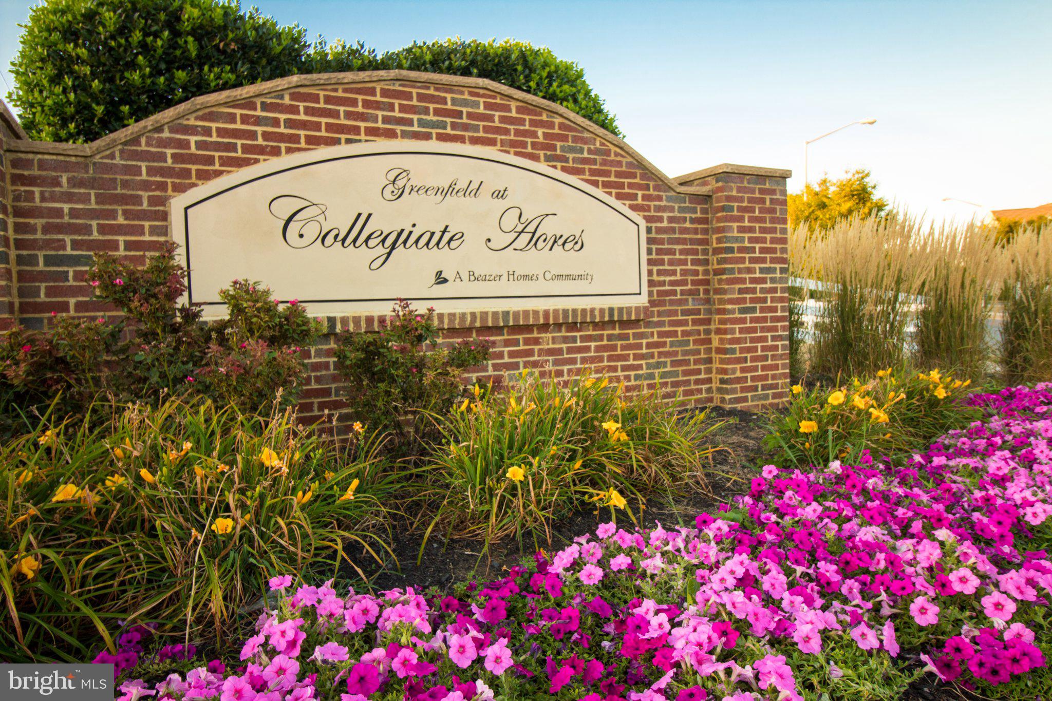 GREENFIELD AT COLLEGIATE ACRES - Residential