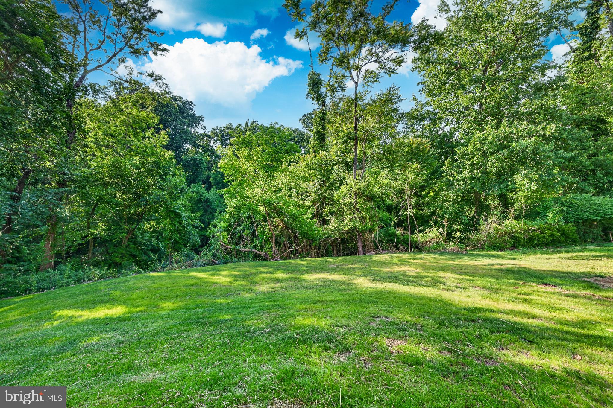 WASHINGTON PARK - Residential