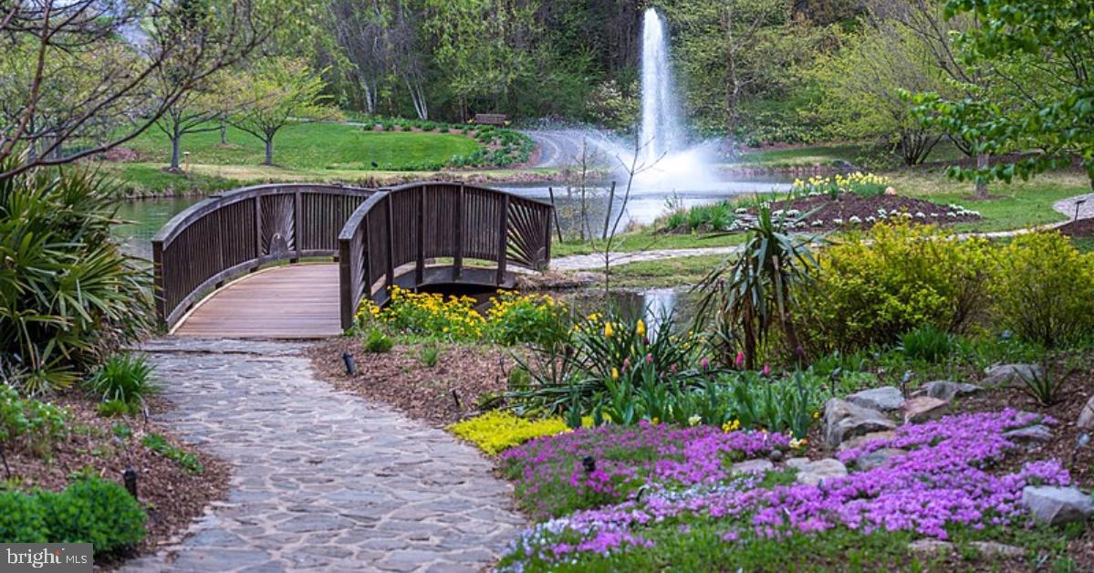 TYSONS WOODS - Residential