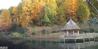 TYSONS WOODS - Residential