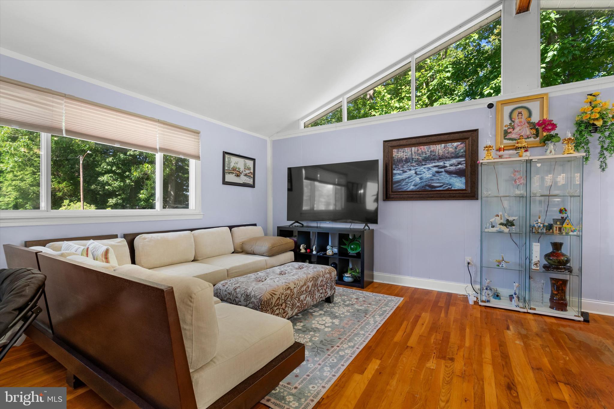 WEST SPRINGFIELD VILLAGE - Residential
