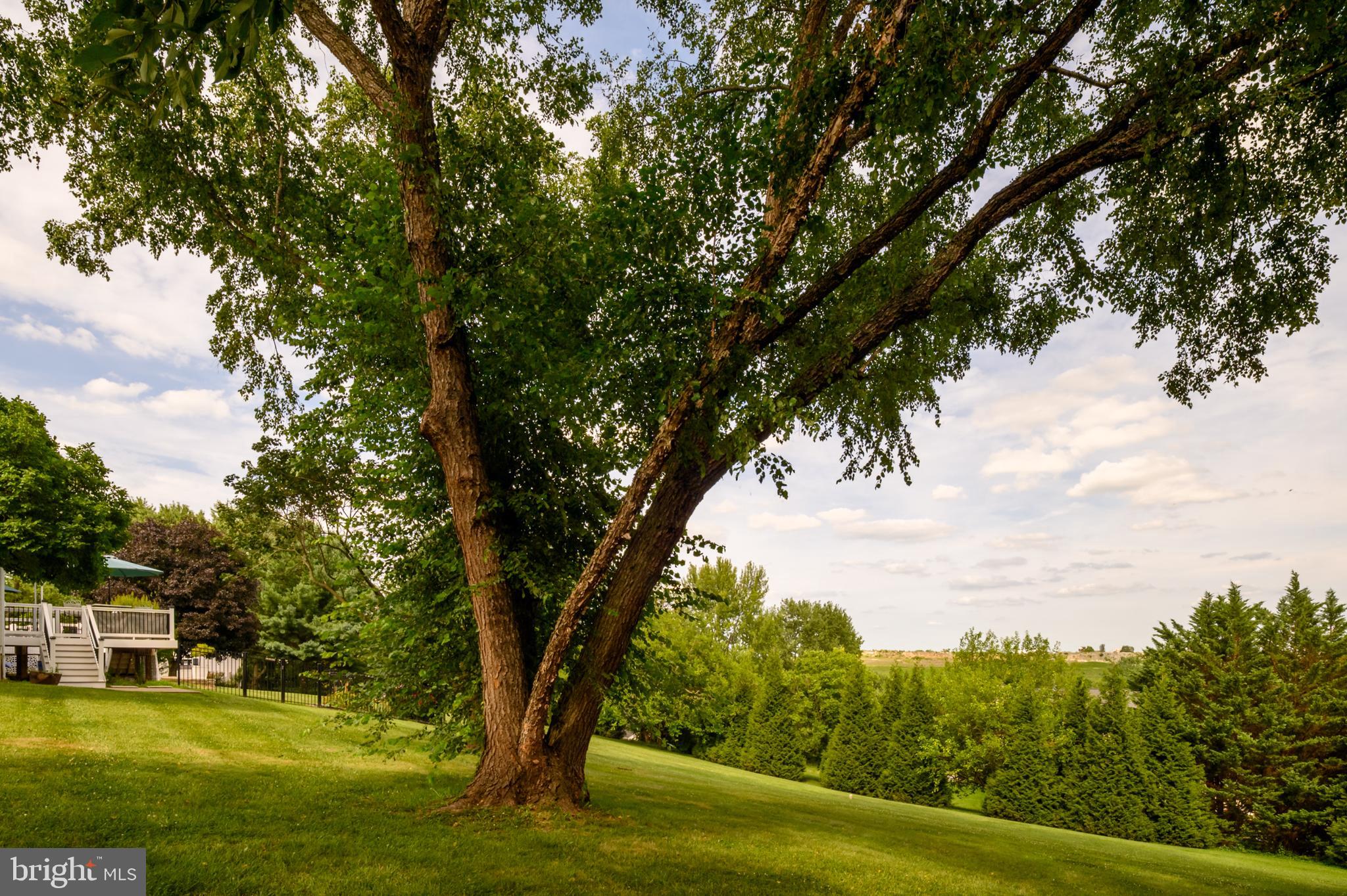 WALNUT HILL - Residential
