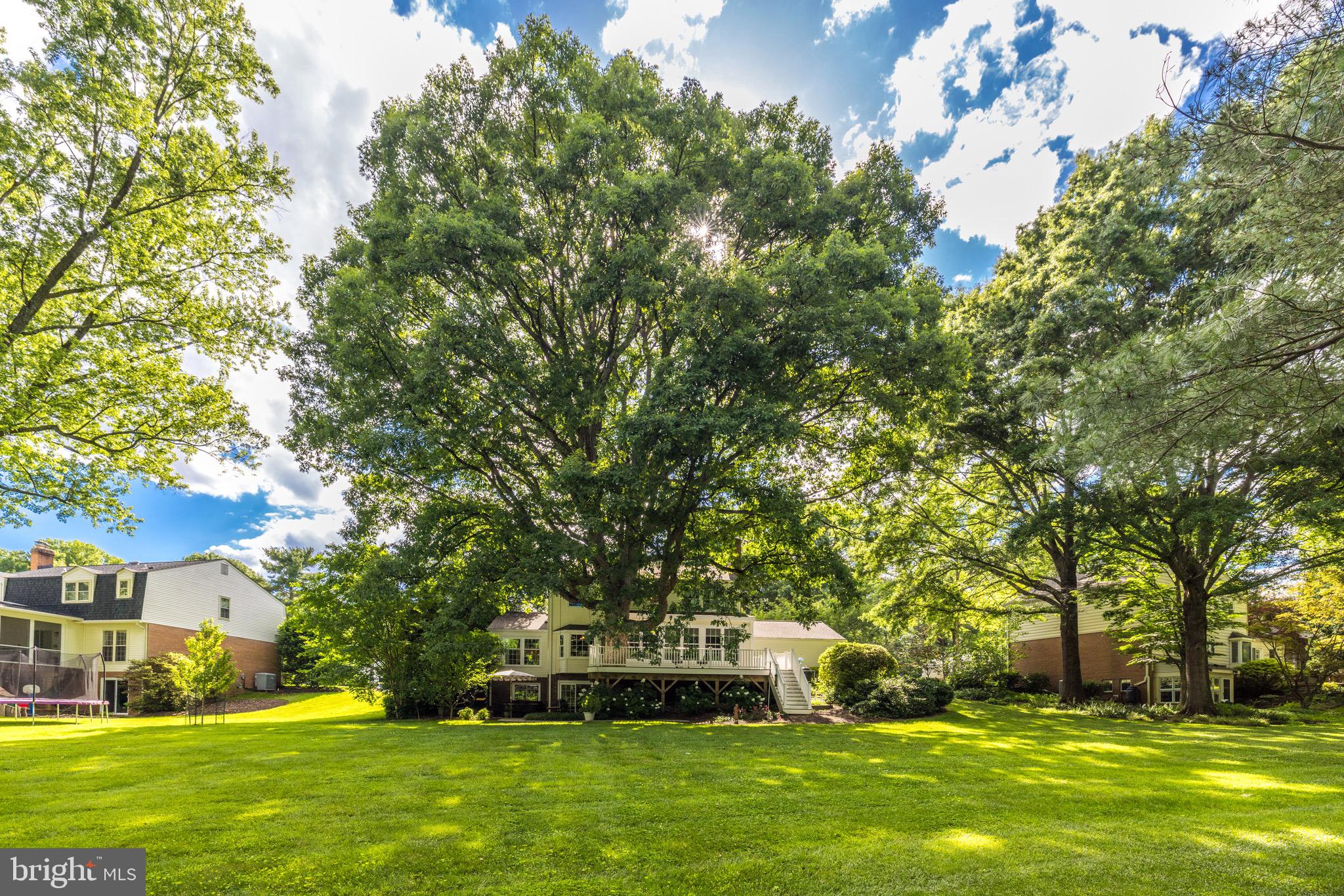 MC LEAN HUNT ESTATES - Residential