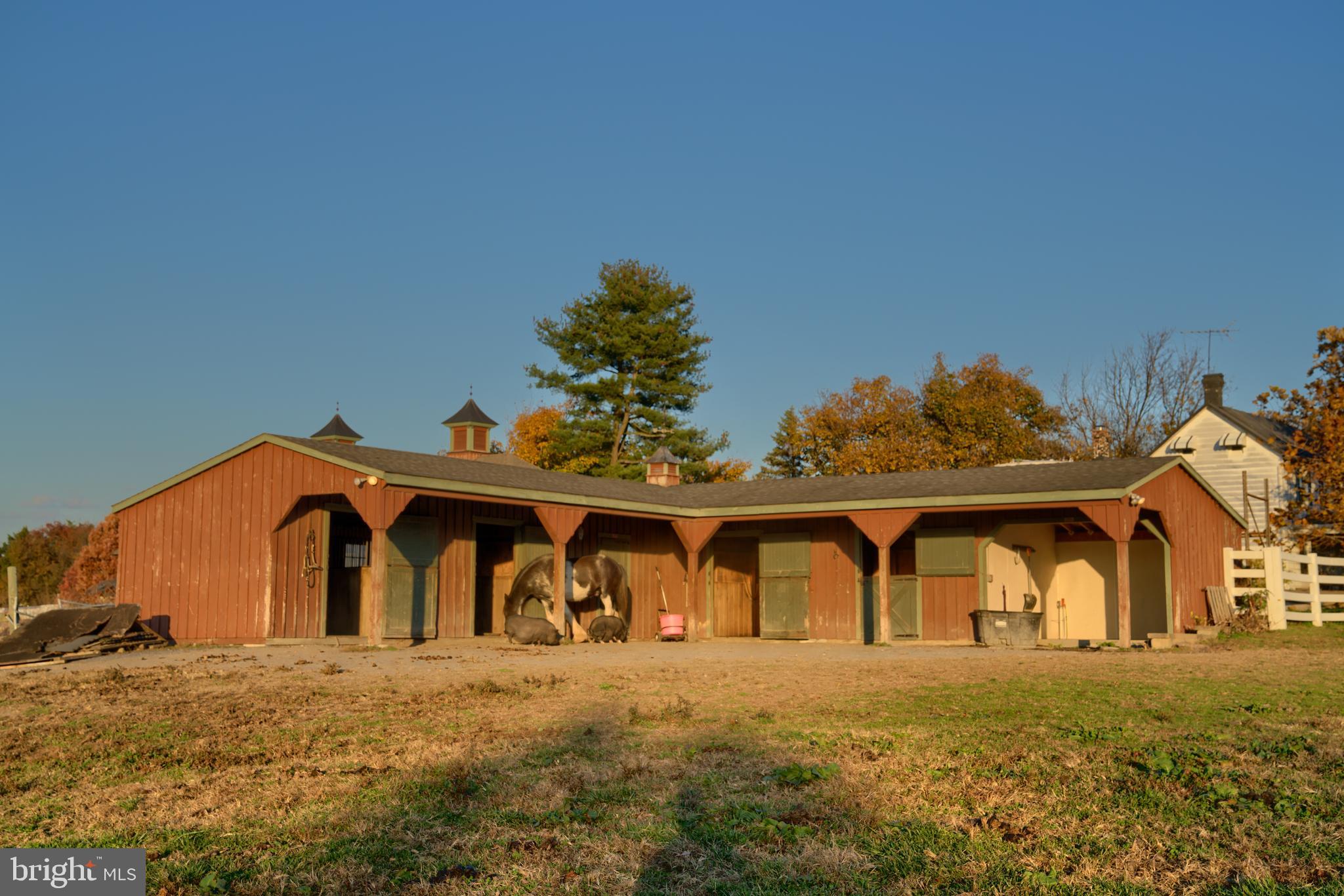 NONE AVAILABLE - Farm