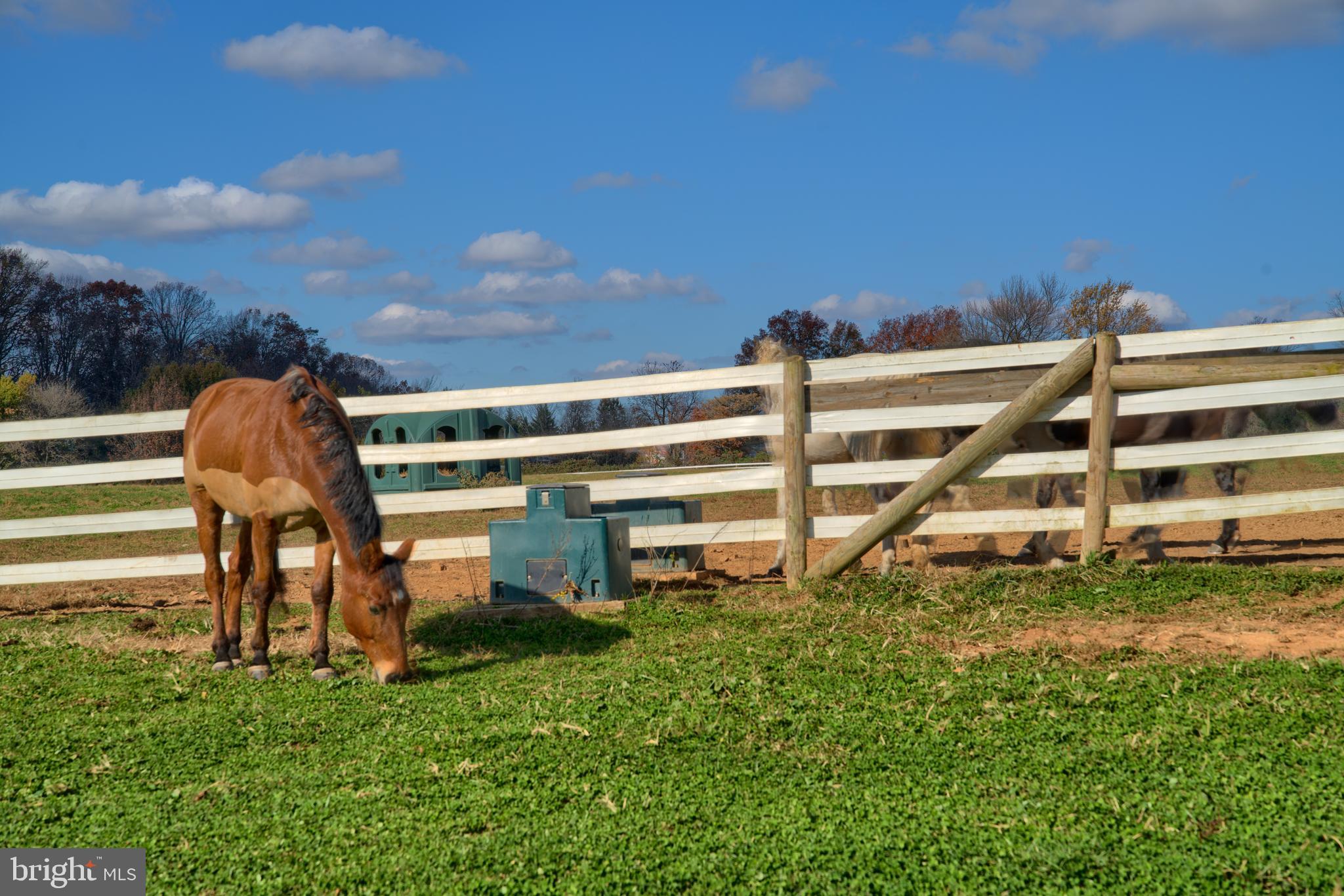 NONE AVAILABLE - Farm