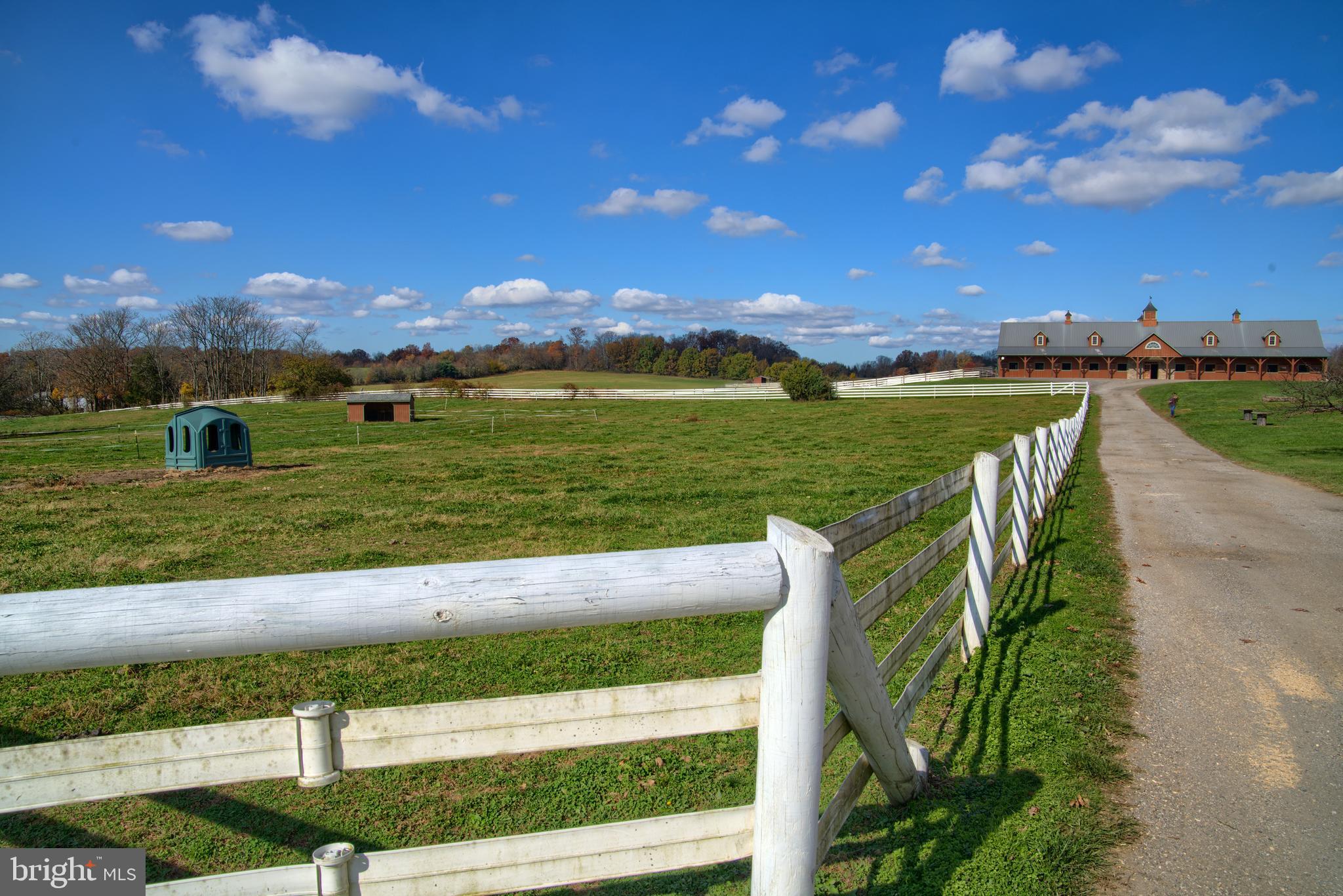 NONE AVAILABLE - Farm
