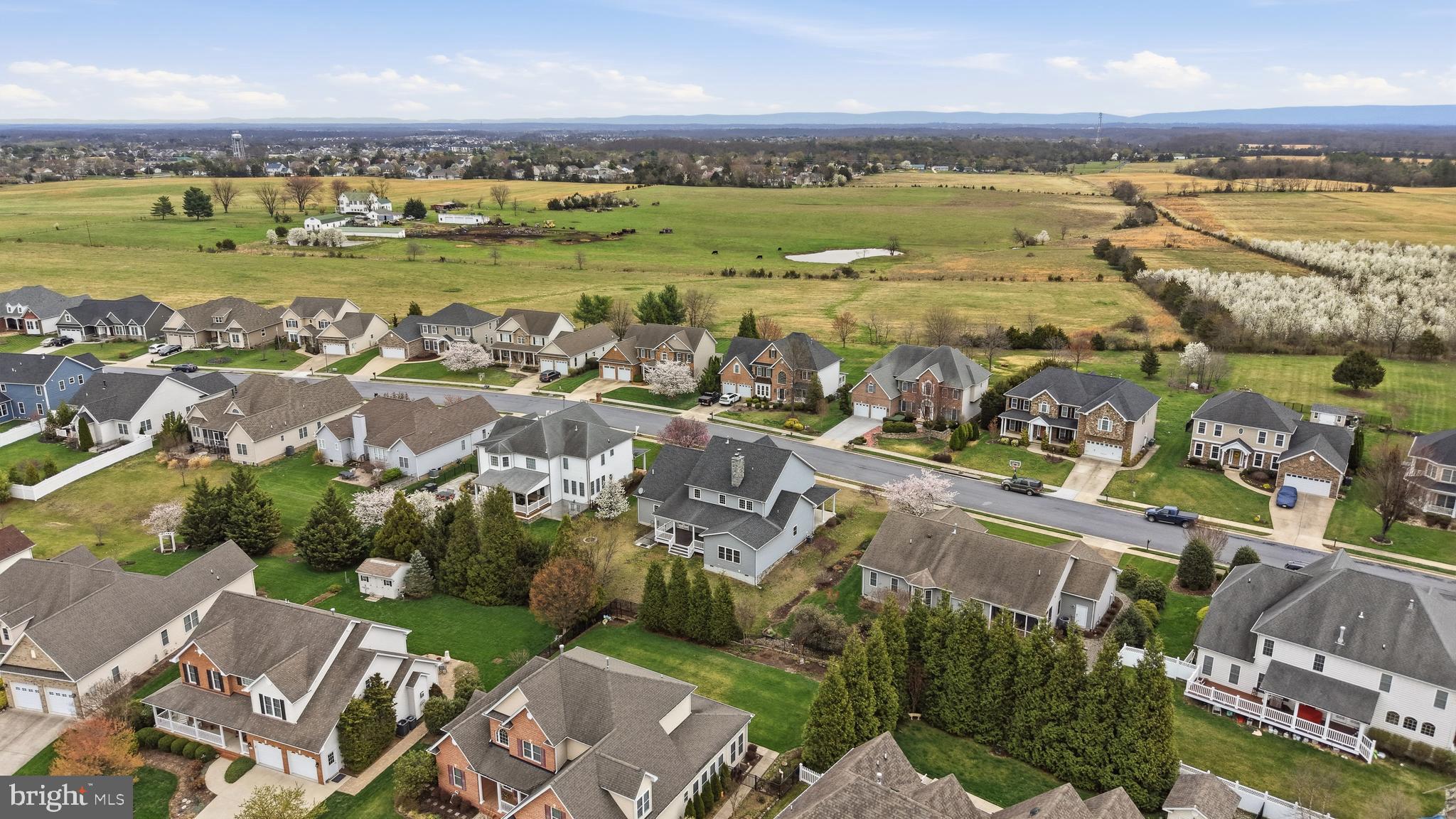 RAVEN POINTE - Residential