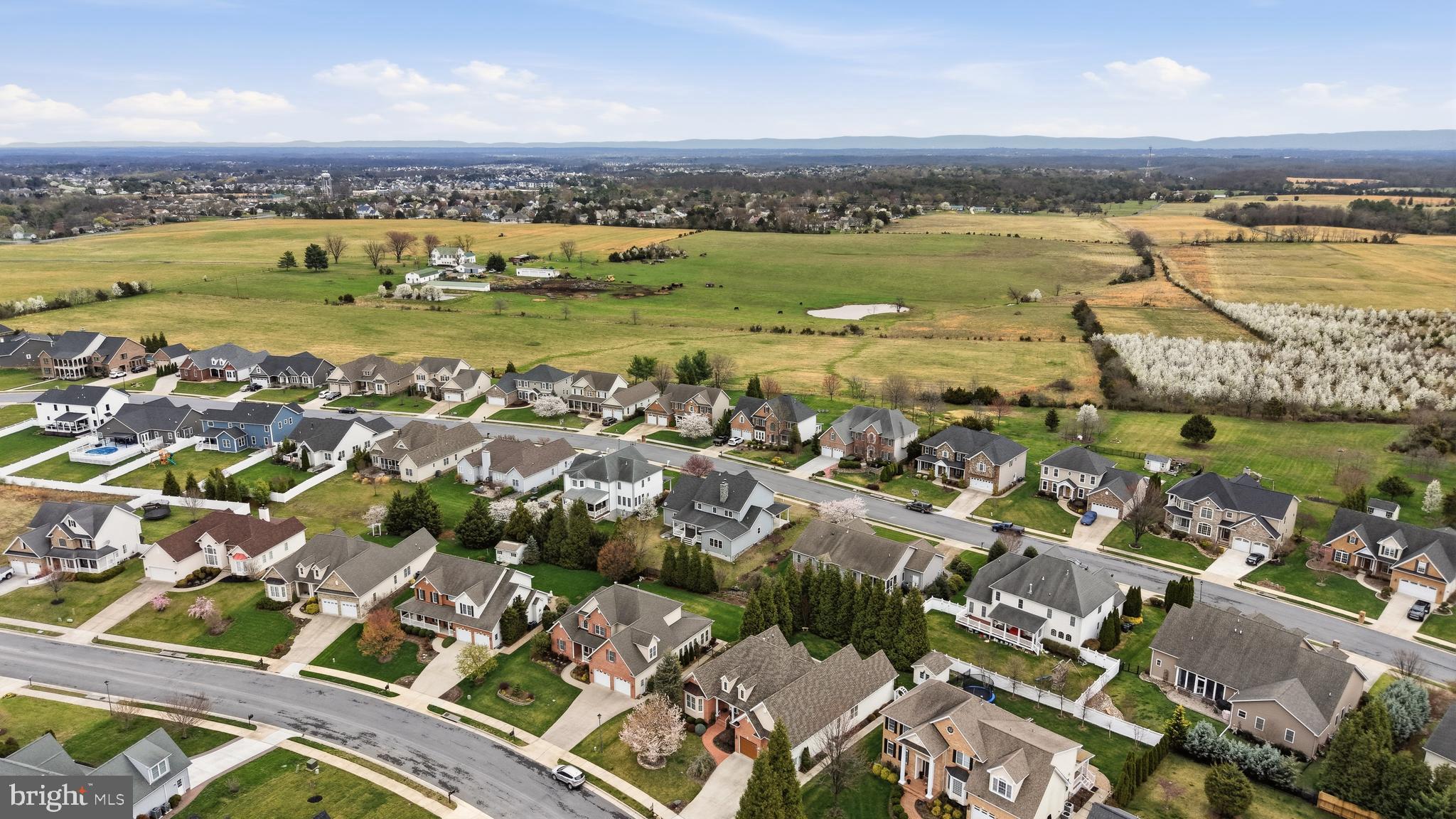 RAVEN POINTE - Residential