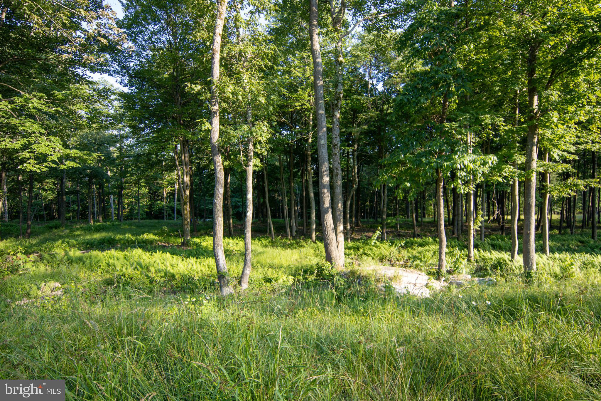 NORTH CAMP - Land