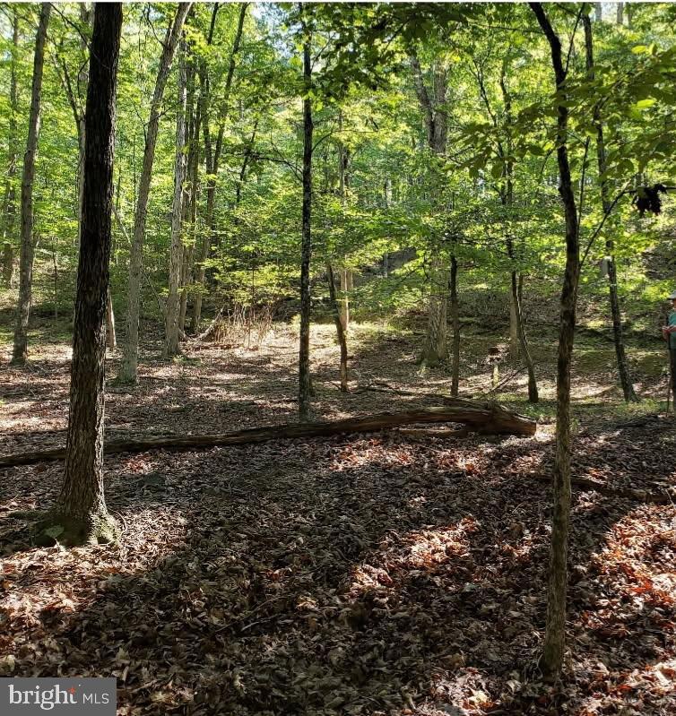 CARDINAL RIDGE ESTATES - Land