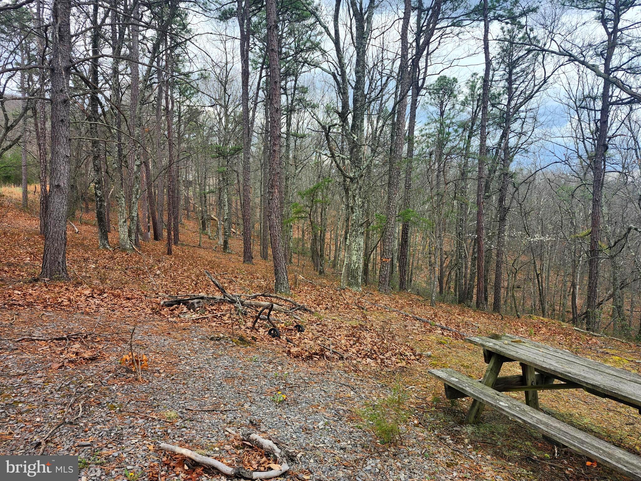 CARDINAL RIDGE ESTATES - Land