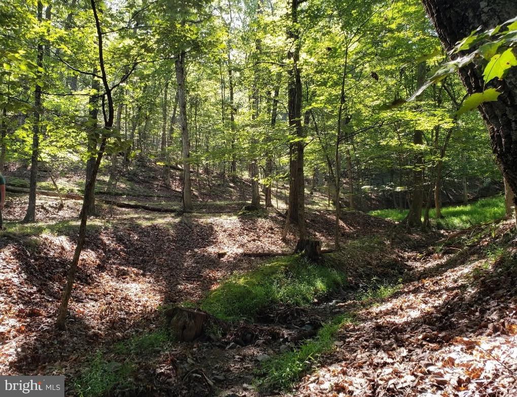 CARDINAL RIDGE ESTATES - Land