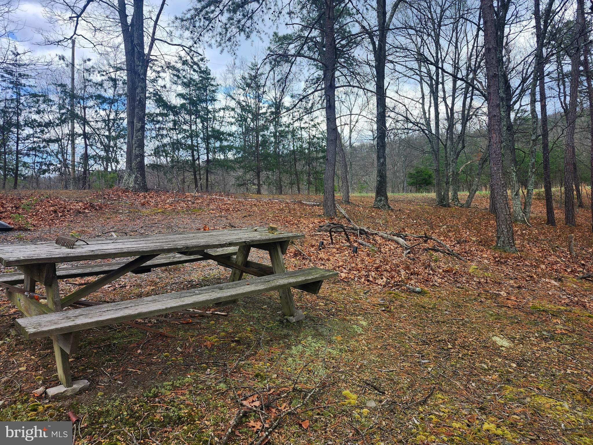 Looking for the perfect place to unwind and unplug? This beautiful 4.73-acre wooded lot offers privacy, peace, and mountain views—all at an incredible value. Nestled in a quiet subdivision on a dead end road, you’ll enjoy the peaceful surroundings while still being just minutes from town. If you're dreaming of a weekend getaway, a camping retreat, or building your forever mountain home, this property is full of potential. With public water available, you can skip the cost of drilling a well and start planning your vision right away. Come enjoy the beauty and charm of Wild, Wonderful West Virginia!