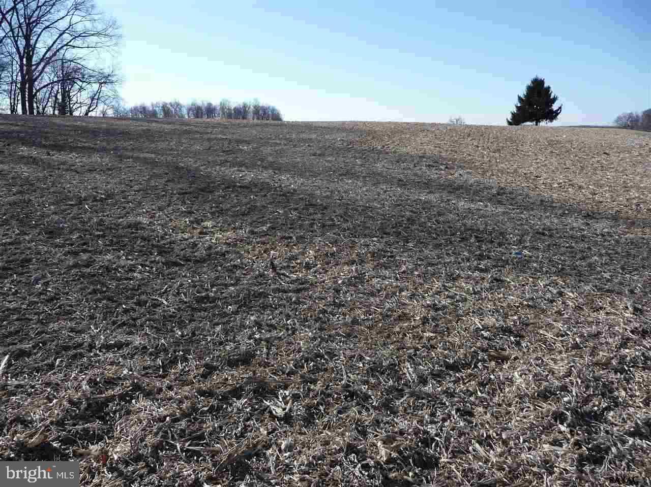 Nice clear 1.674 Acre lot in Fawn Township, Southern York County. Approximately 17 Miles to Bel Air MD. 14 Miles to Exit 4 I-83. Location is between 452 & 500 Graceton Rd. Currently used as cropland. Mobiles & doublewides are OK