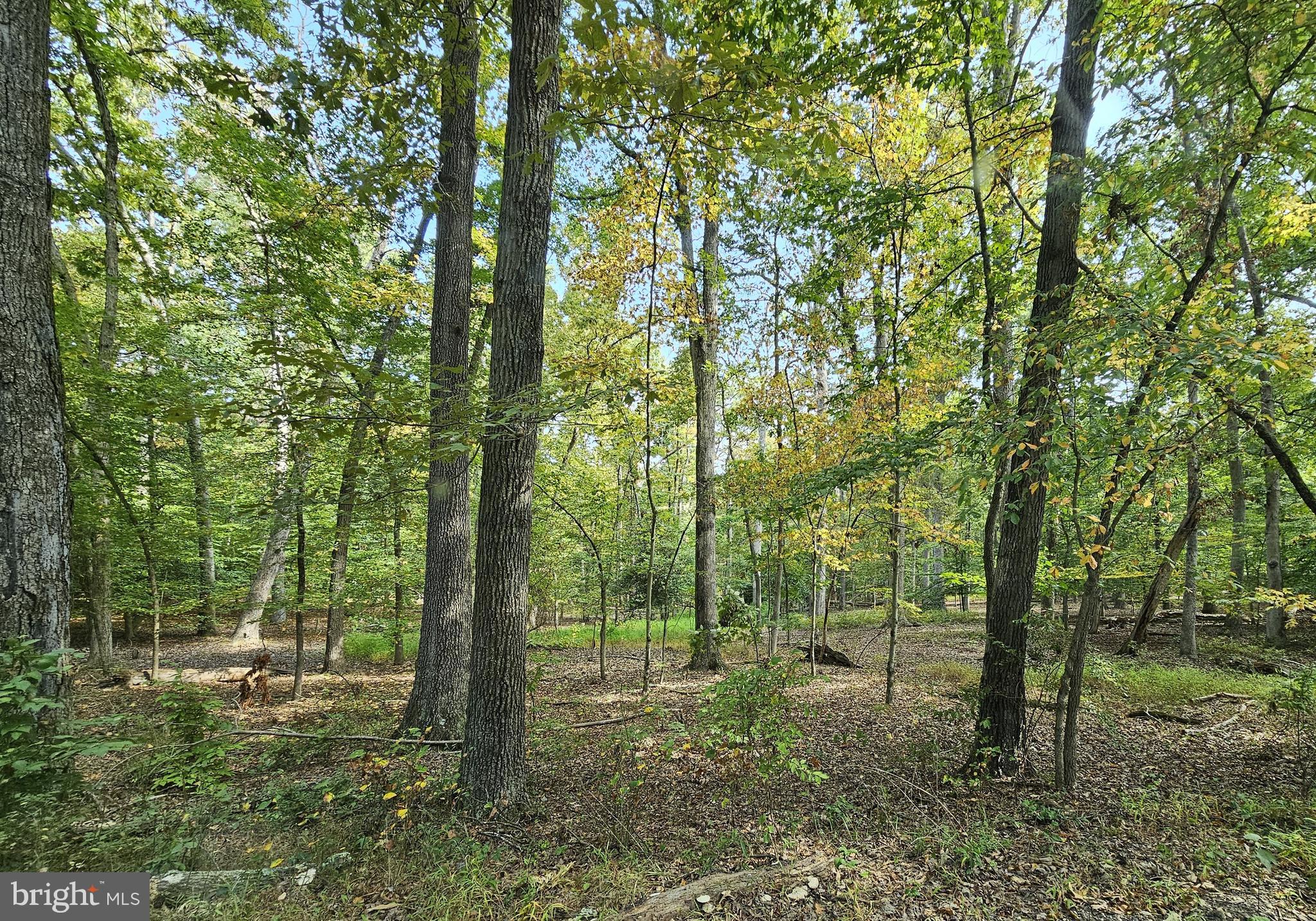 MOYAONE RESERVE - Land