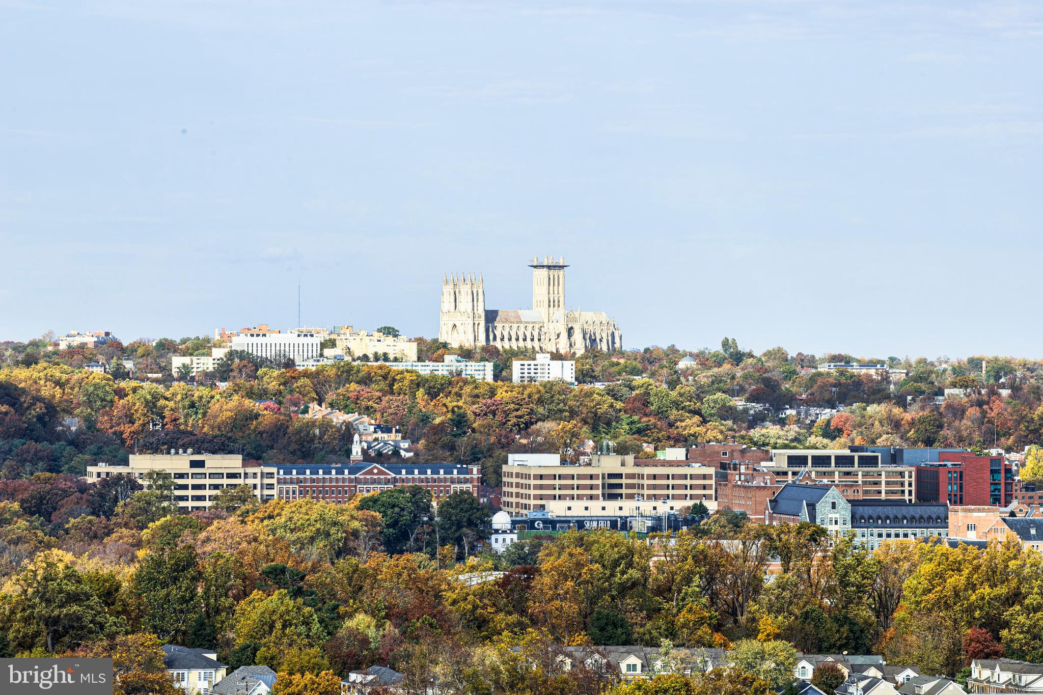COURTHOUSE - Residential Lease