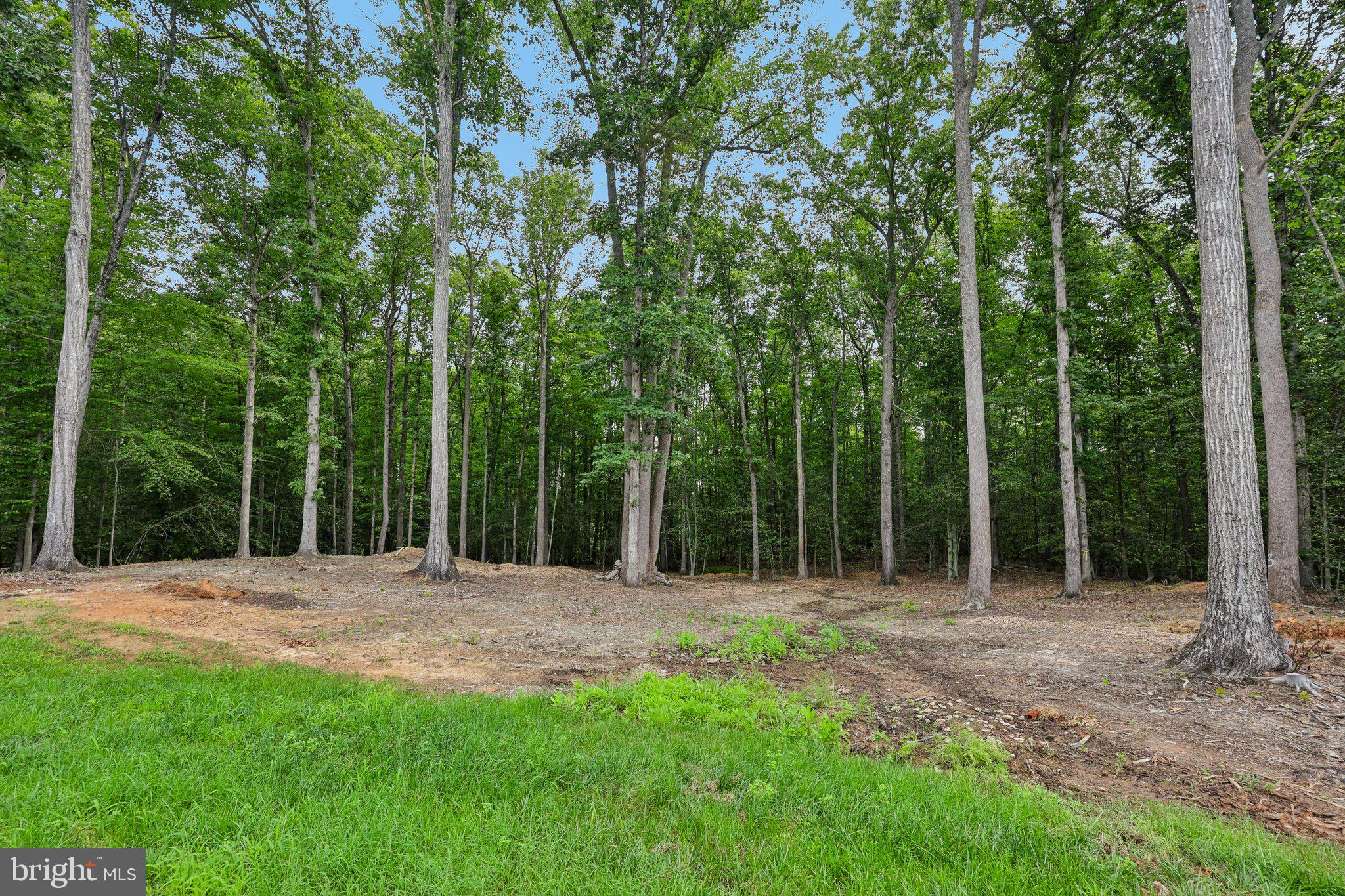 THE PRESERVE AT LONG BRANCH - Residential