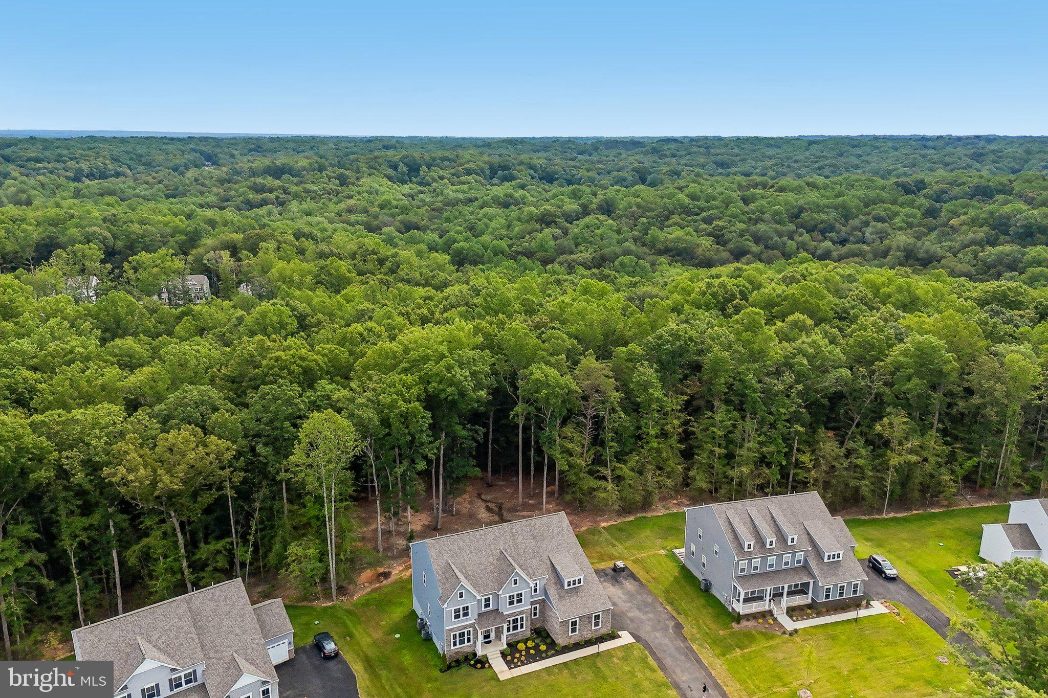 THE PRESERVE AT LONG BRANCH - Residential