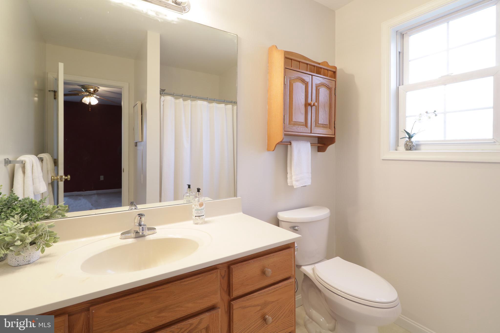 STEEPLECHASE - Residential
