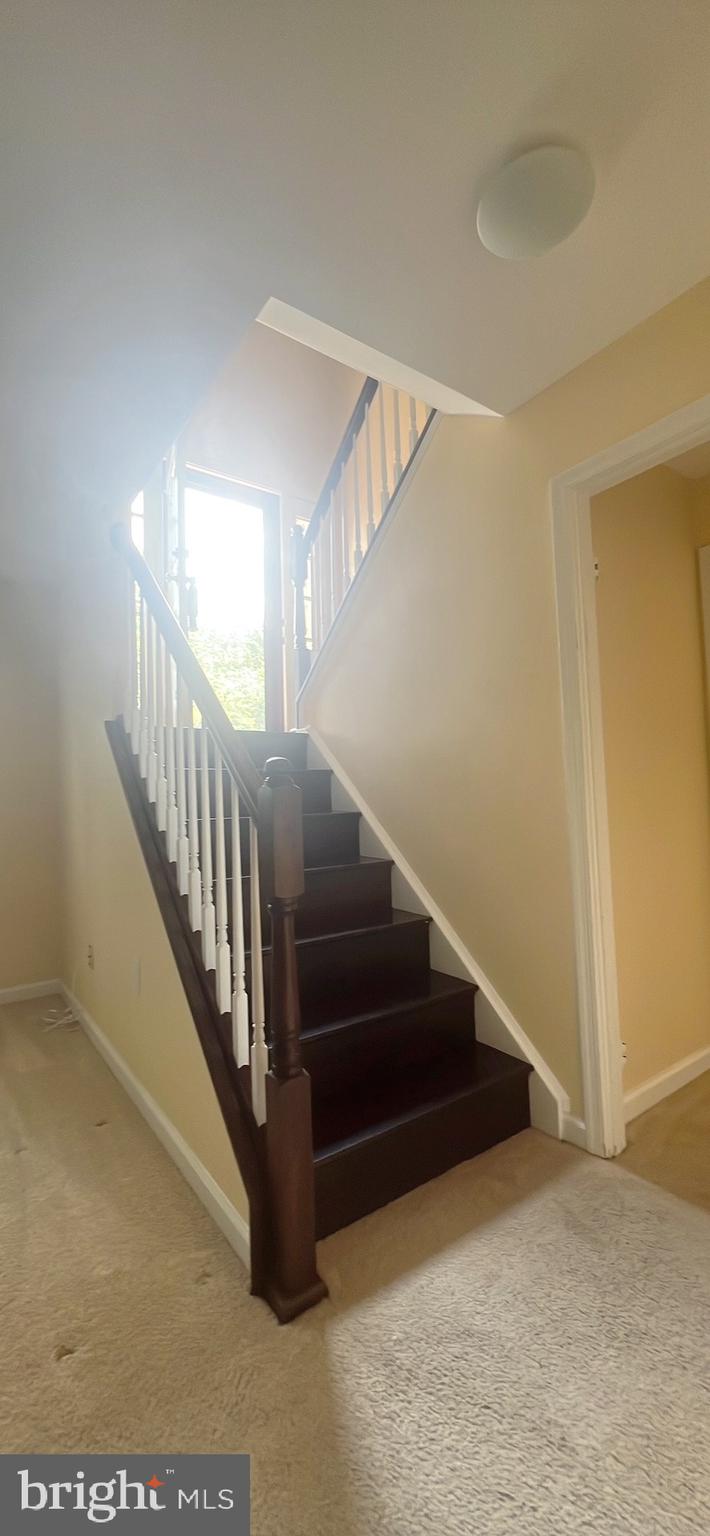 BRAMBLEWOOD - Residential