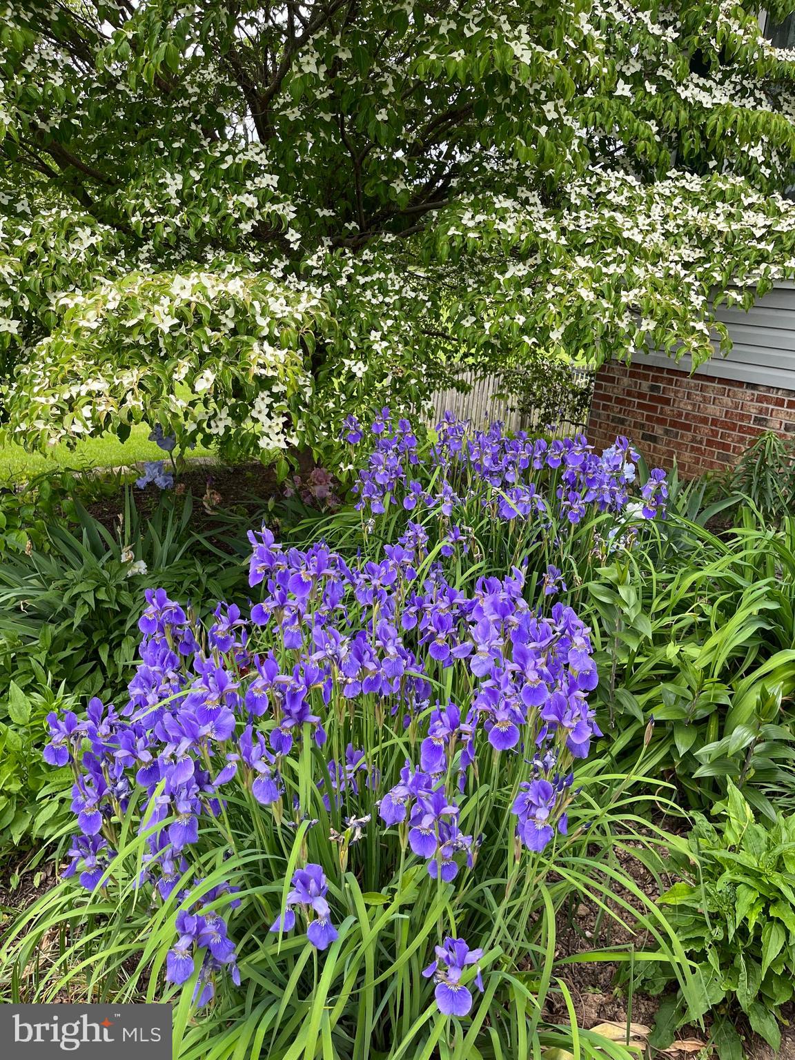 NORWOOD SOUTH - Residential