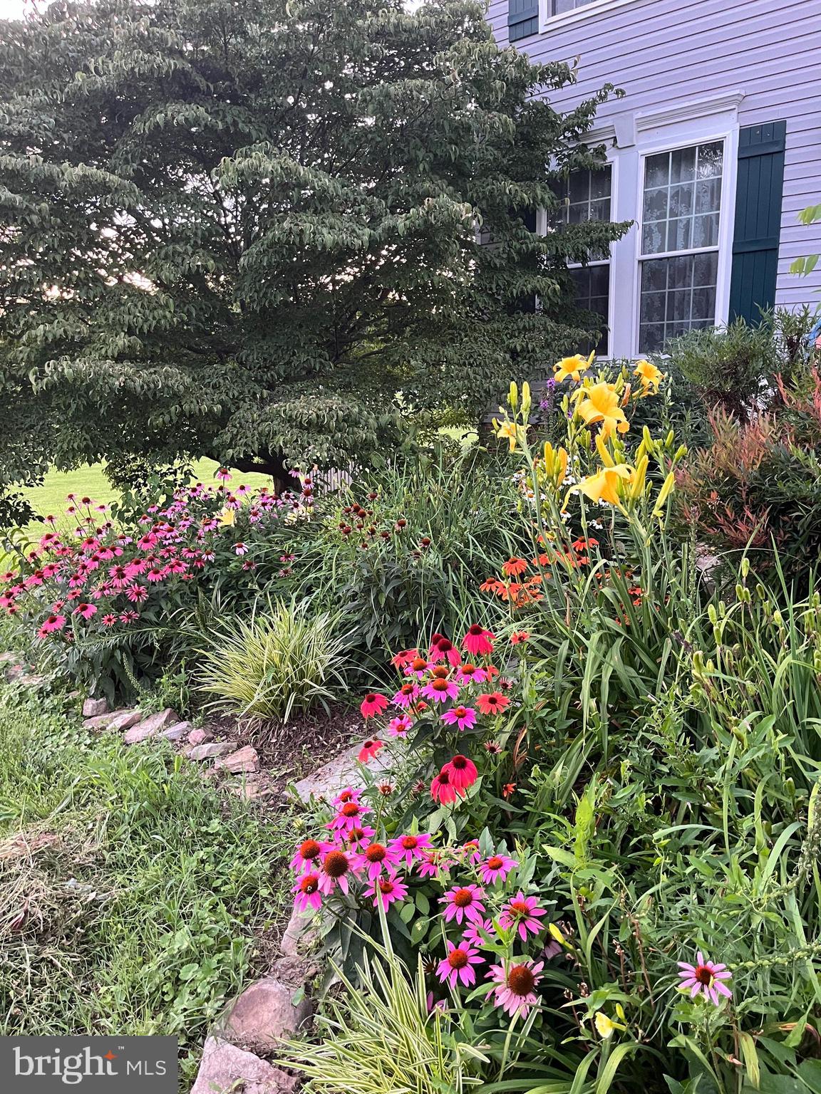 NORWOOD SOUTH - Residential