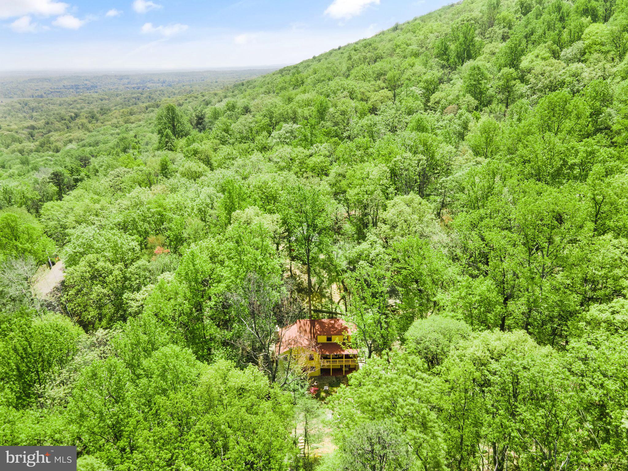 BULL RUN MOUNTAIN ESTATE - Residential Lease