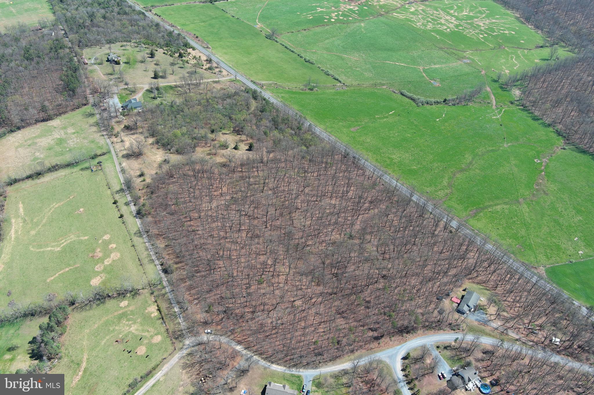 BLACKTHORN RIDGE ESTATES - Land