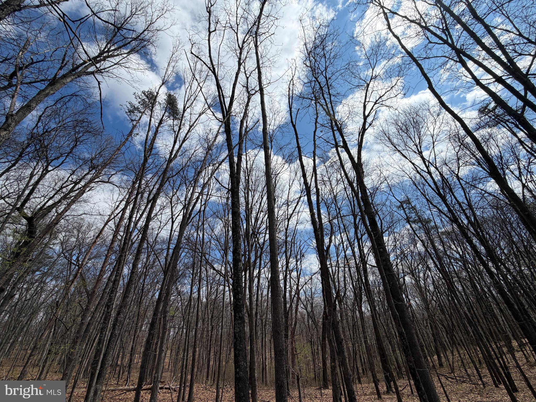 BLACKTHORN RIDGE ESTATES - Land