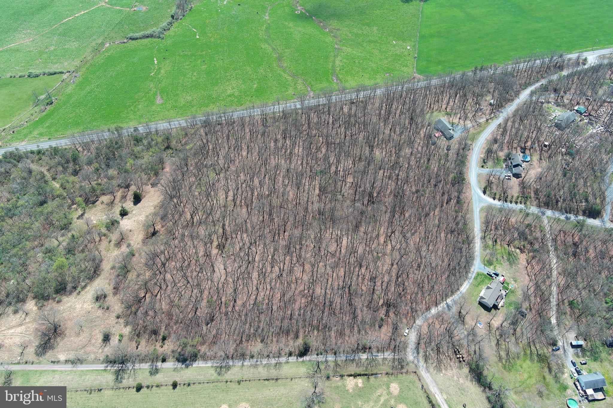 BLACKTHORN RIDGE ESTATES - Land