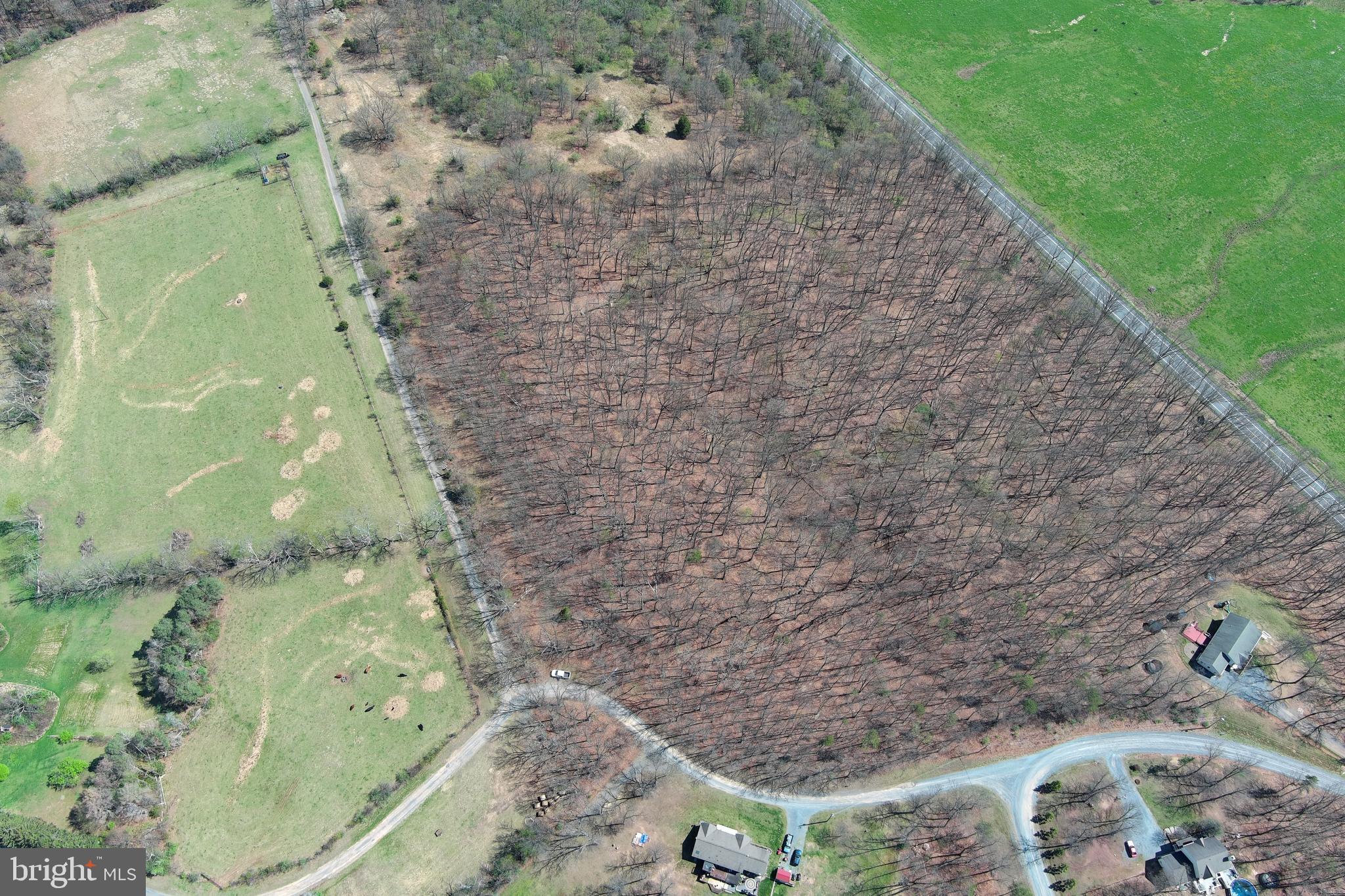 BLACKTHORN RIDGE ESTATES - Land