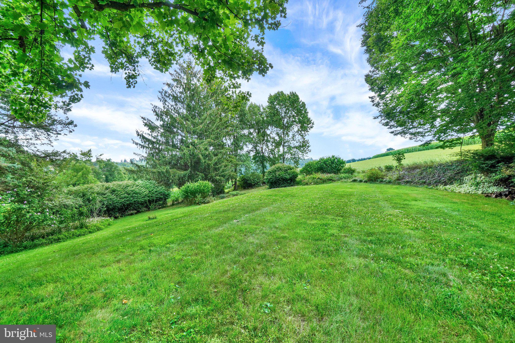 SPRINGFIELD TWP - Residential