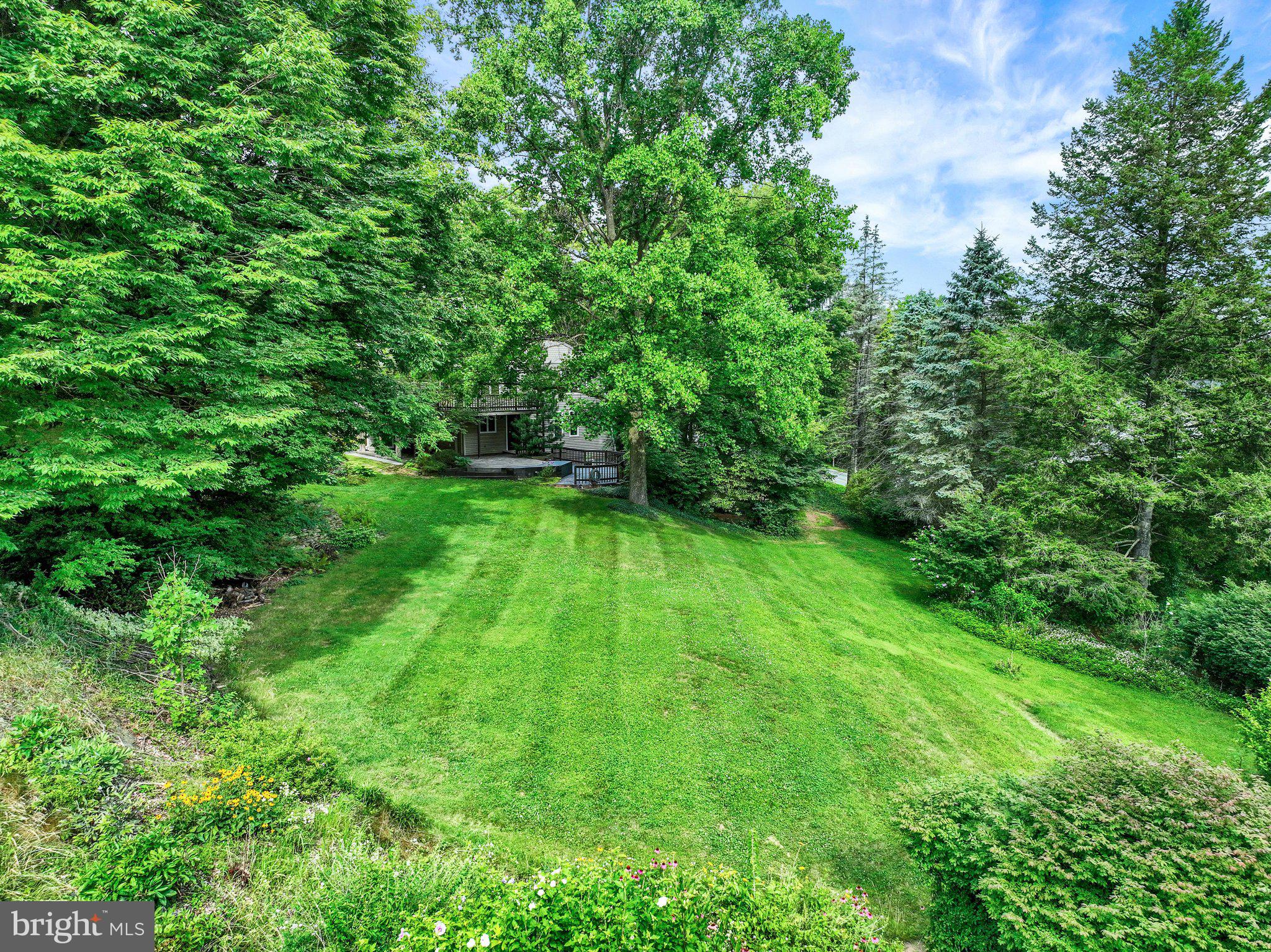 SPRINGFIELD TWP - Residential