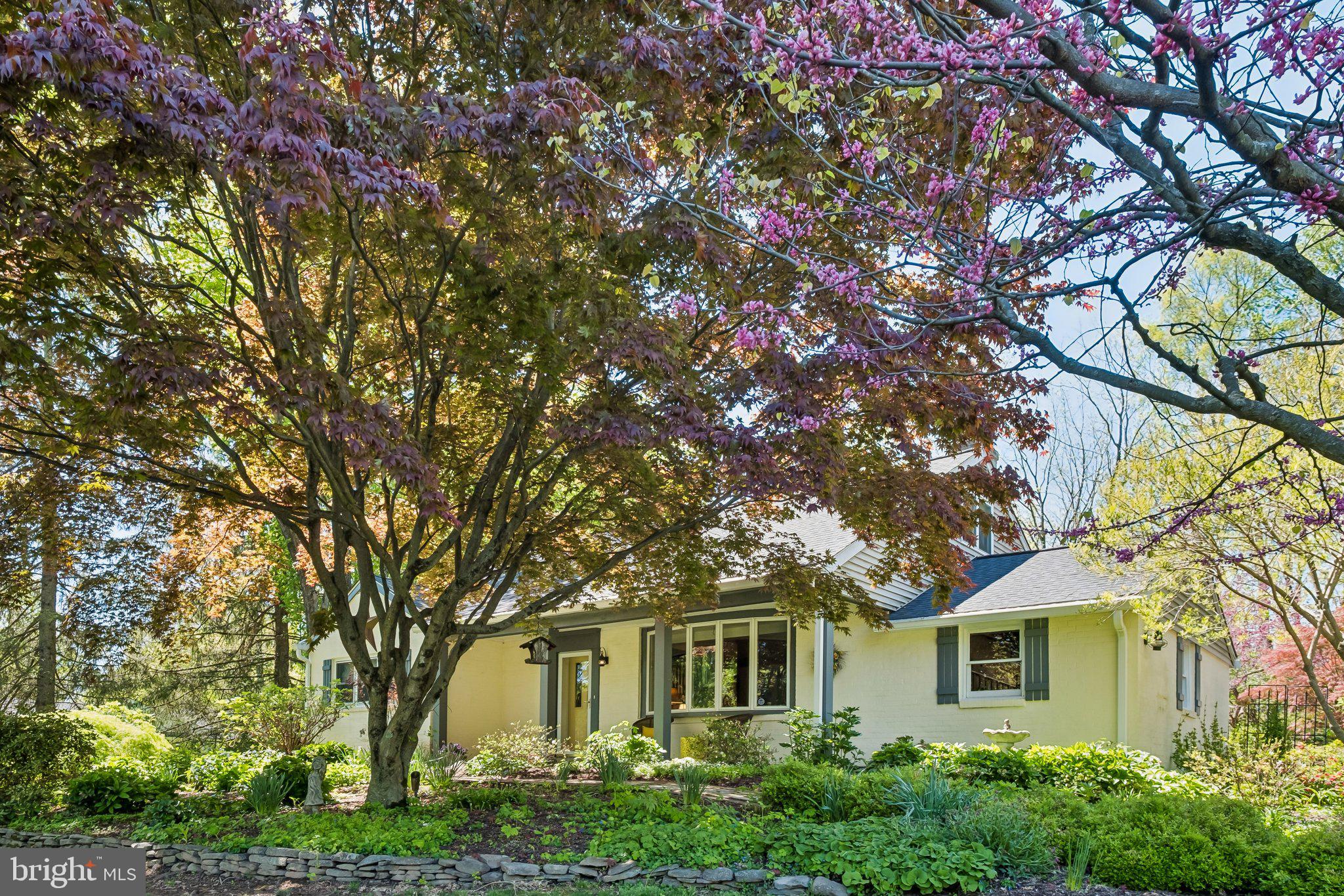 HAMILTON PARK - Residential