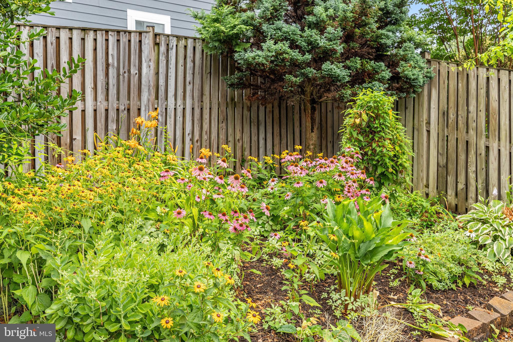 ROSEMONT - Residential