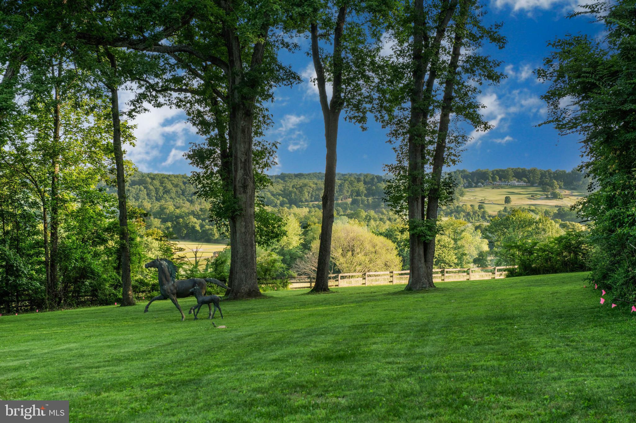 CAVES VALLEY - Residential