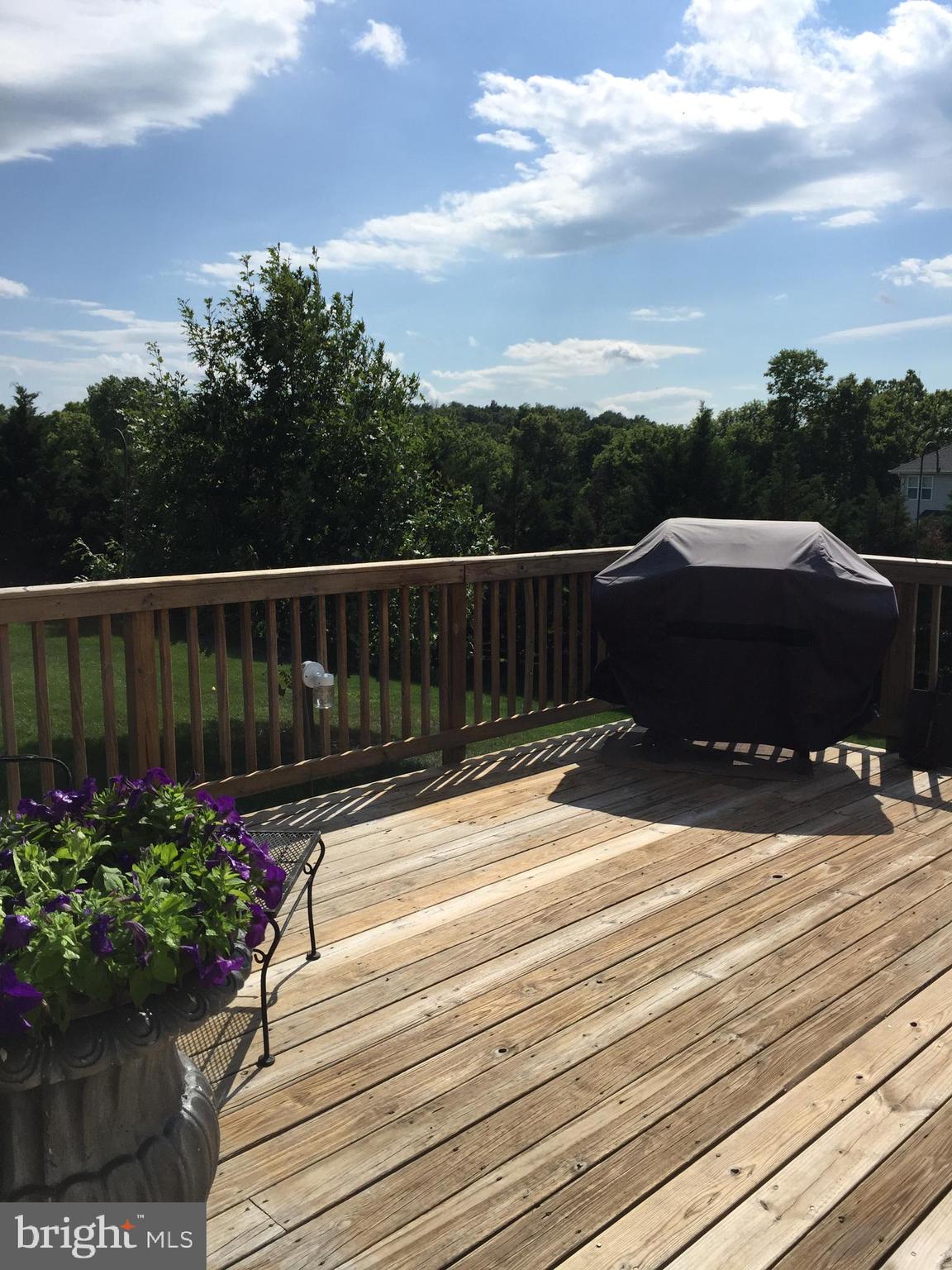 SPRUCE HILL ESTATES - Residential