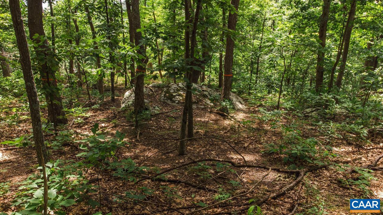 WINTERGREEN RESORT - Land
