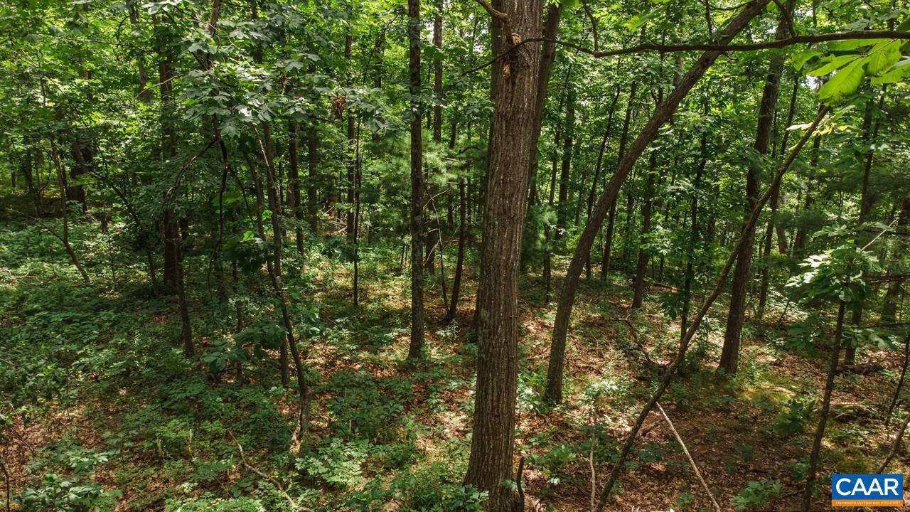 WINTERGREEN RESORT - Land