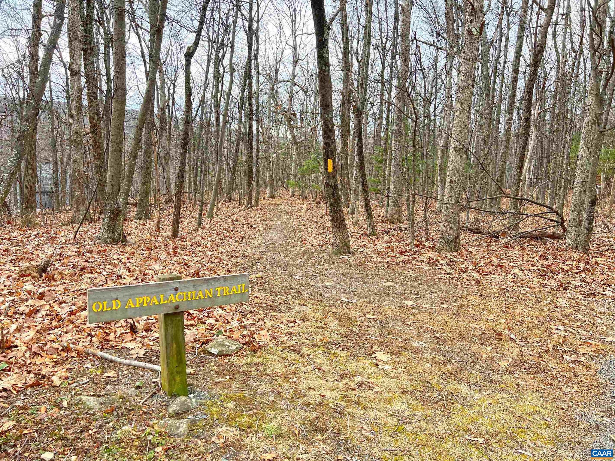 WINTERGREEN RESORT - Land