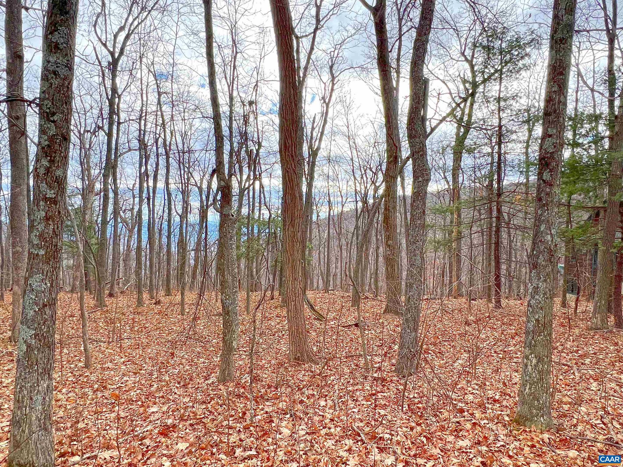 WINTERGREEN RESORT - Land
